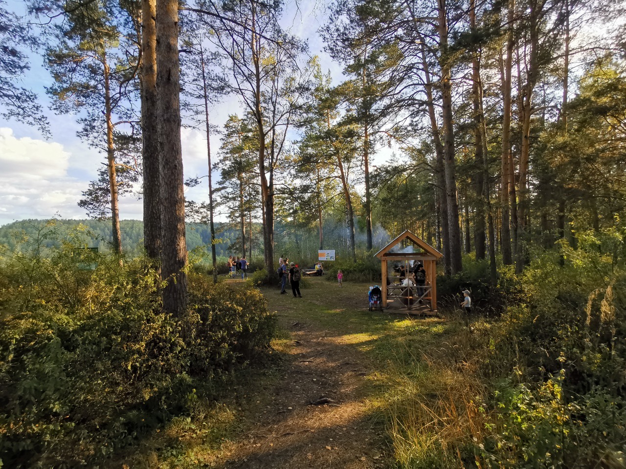 Mount St. John's Wort: stop going there! - My, Tourism, The mountains, Relaxation, Hypericum, Travels, Novosibirsk region, Siberia, Autumn, Longpost