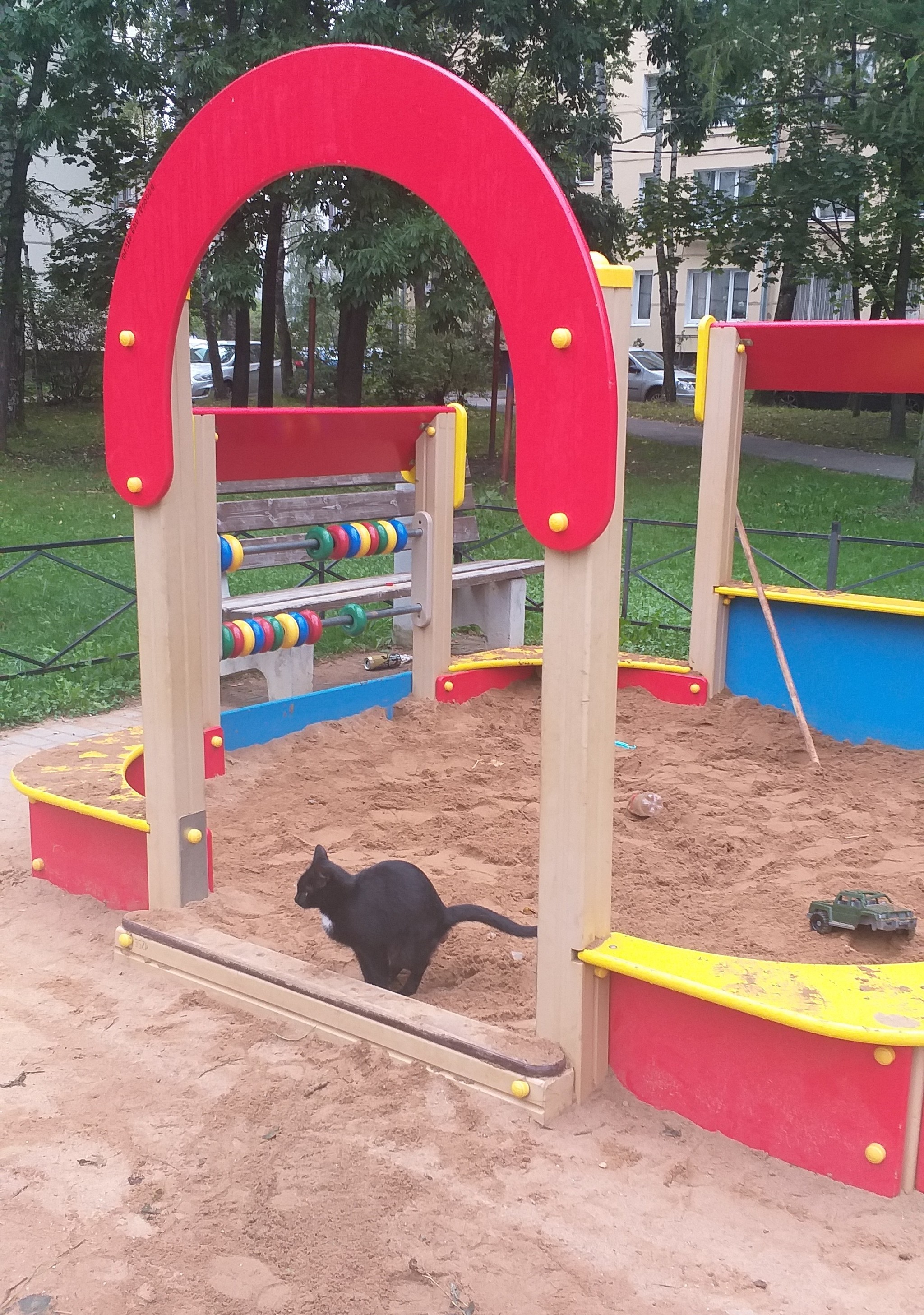 Good morning! - cat, Playground, Sandbox