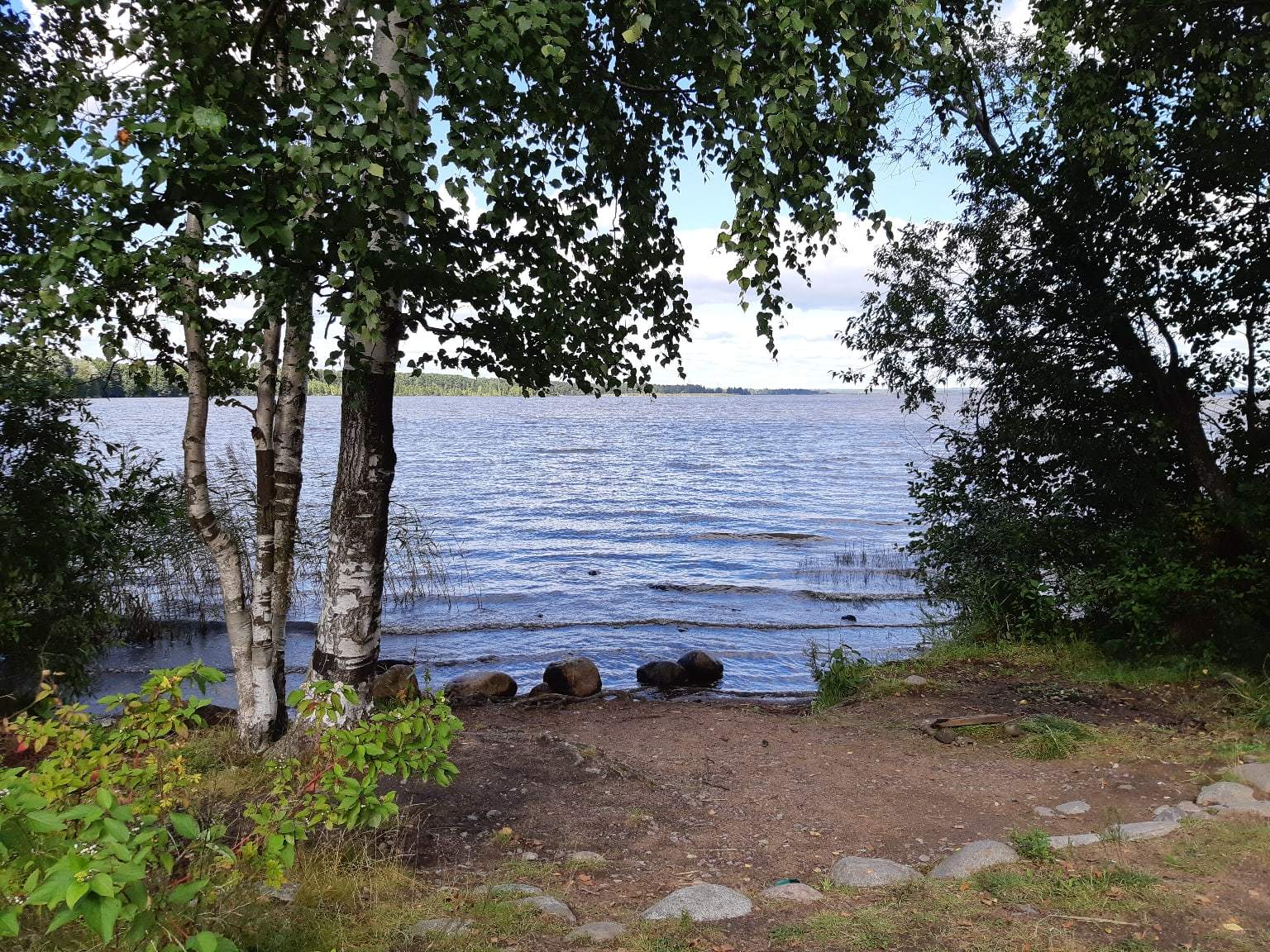 A walk near Lake Sestroretsky Razliv. Saint Petersburg - My, Sestroretsky spill, Lake, Sestroretsk, Saint Petersburg, The photo, Walk, Walk in the woods, Longpost