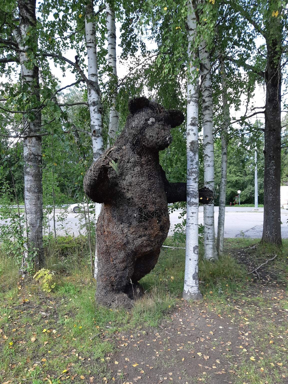 A walk near Lake Sestroretsky Razliv. Saint Petersburg - My, Sestroretsky spill, Lake, Sestroretsk, Saint Petersburg, The photo, Walk, Walk in the woods, Longpost