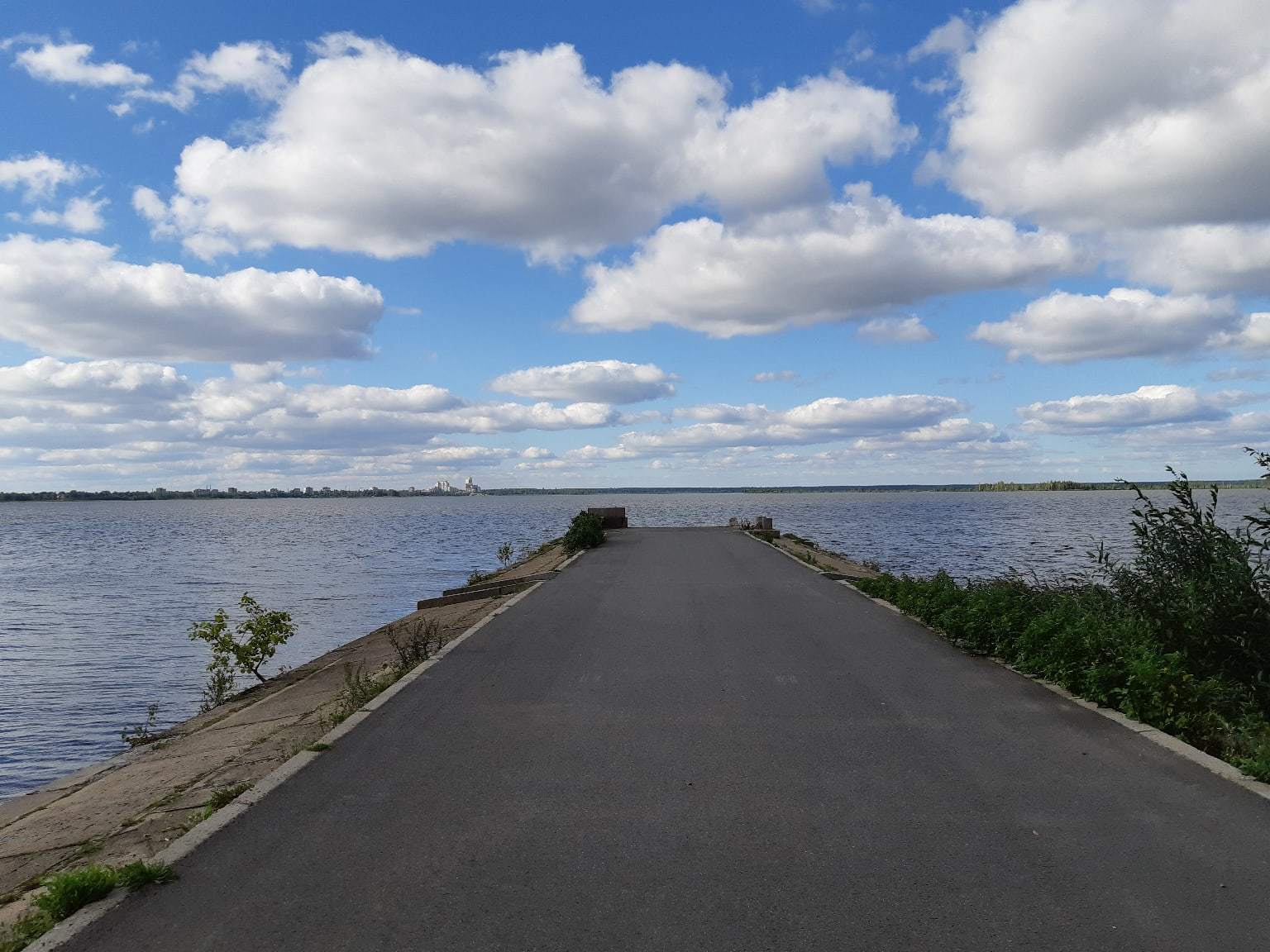 A walk near Lake Sestroretsky Razliv. Saint Petersburg - My, Sestroretsky spill, Lake, Sestroretsk, Saint Petersburg, The photo, Walk, Walk in the woods, Longpost