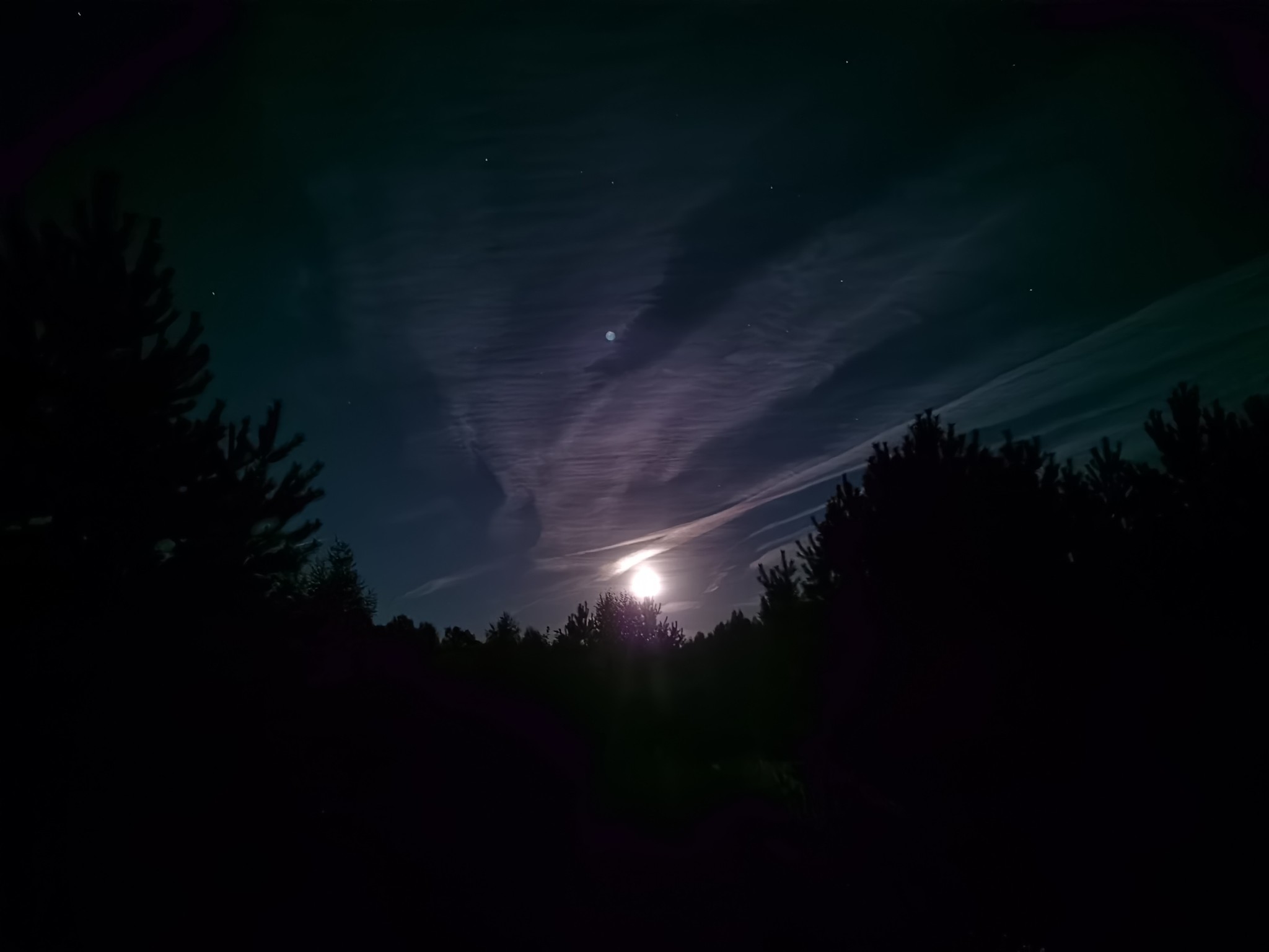 Evening in the forest - My, Russia, Pavlovo, Pavlovo on the Eye, Star, Sky, Honor, Huawei, Forest, Longpost