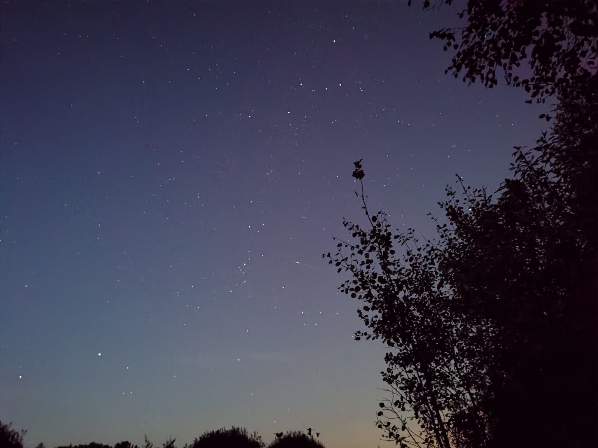 Evening in the forest - My, Russia, Pavlovo, Pavlovo on the Eye, Star, Sky, Honor, Huawei, Forest, Longpost