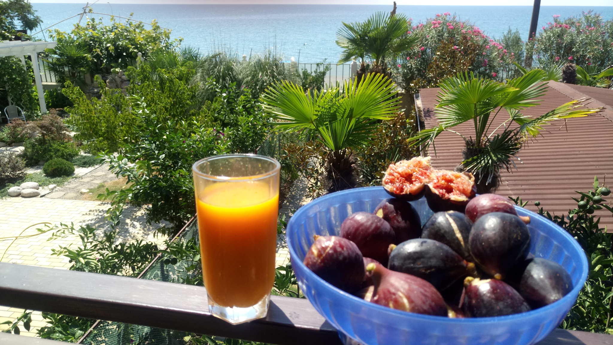 Delicious - My, Fig, Yummy, Abkhazia, August