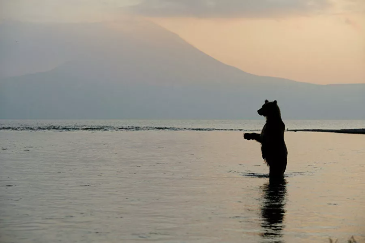 “Splendor and poverty” of Kamchatka. About poachers, gold mining and ecotourists - Kamchatka, Ecology, A fish, Tourism, Longpost