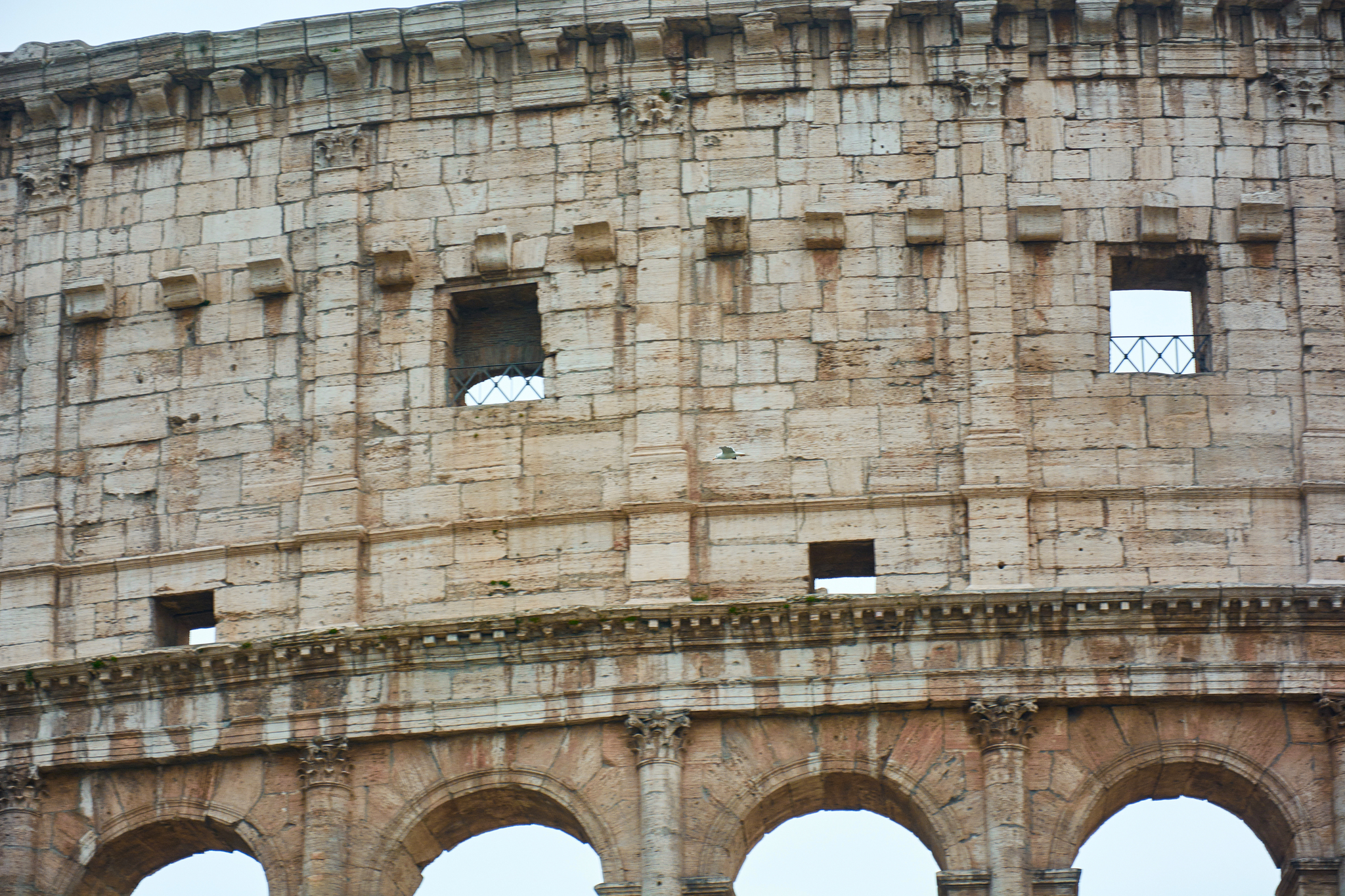 Colosseum in the eternal city of Rome - My, Rome, Coliseum, Italy, Lazio, The photo, Report, Longpost