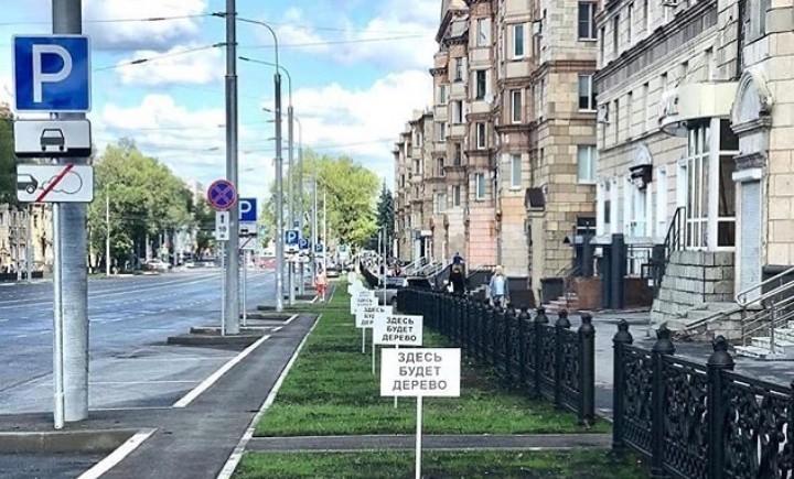 Beautiful trees - My, Tree, Табличка, City center, Creative