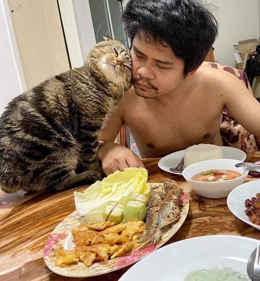 When the cat stole your husband from you - cat, Husband, Longpost, Asians