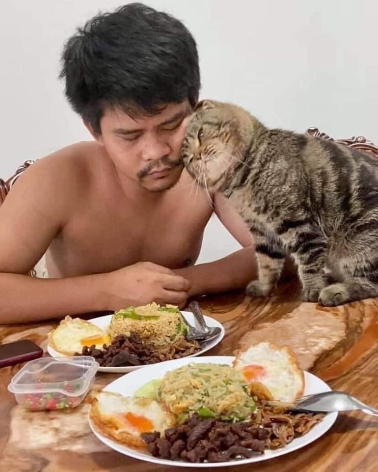 When the cat stole your husband from you - cat, Husband, Longpost, Asians