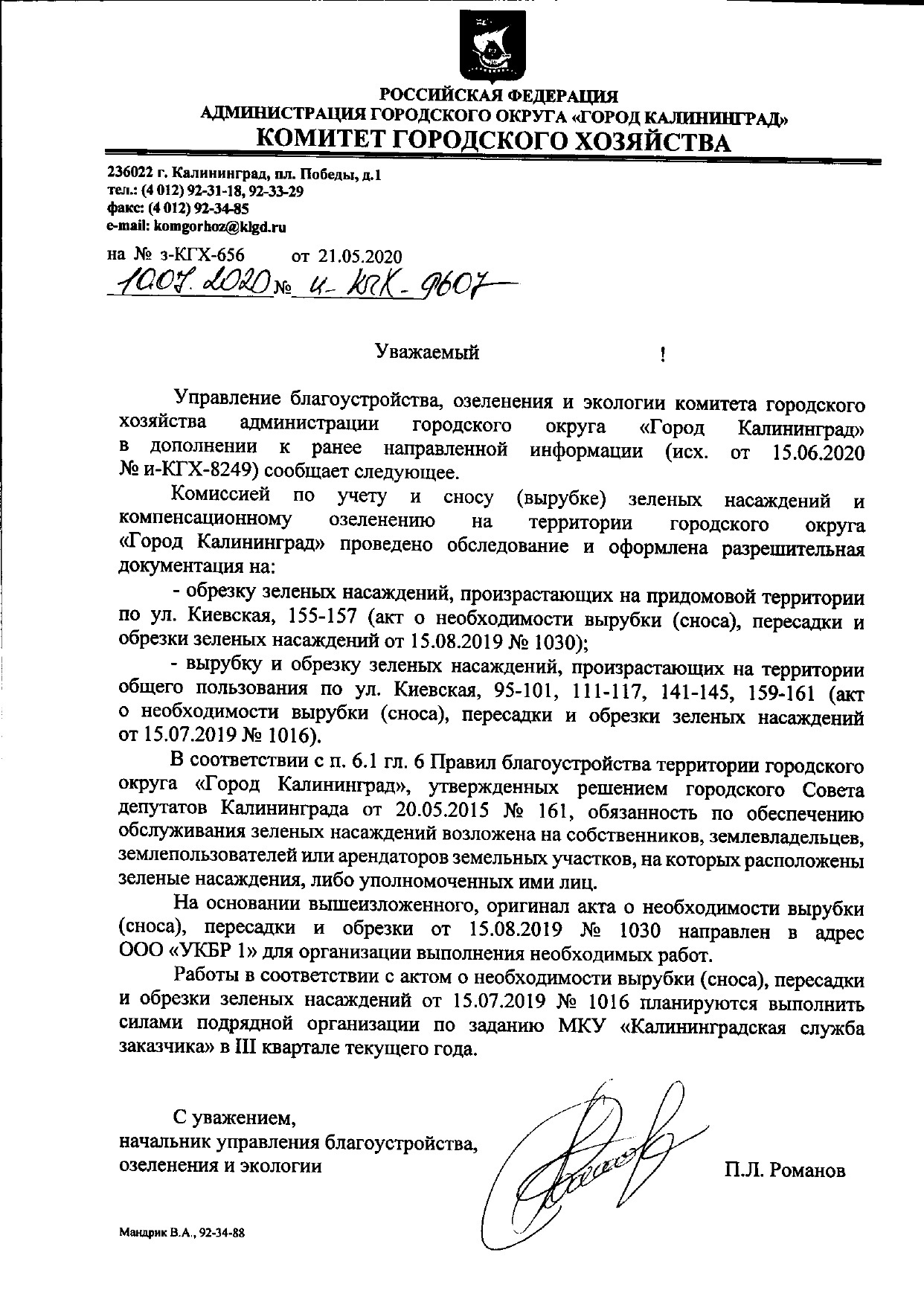 The stupid mayor's office of Kaliningrad or how officials don't care about people. Tree pruning, whatever, just unsubscribe and scratch your tongue - My, Kaliningrad, Housing and communal services, Negative, Death, Officials, Russia, Indifference, Longpost, A complaint, Pruning trees, Branch