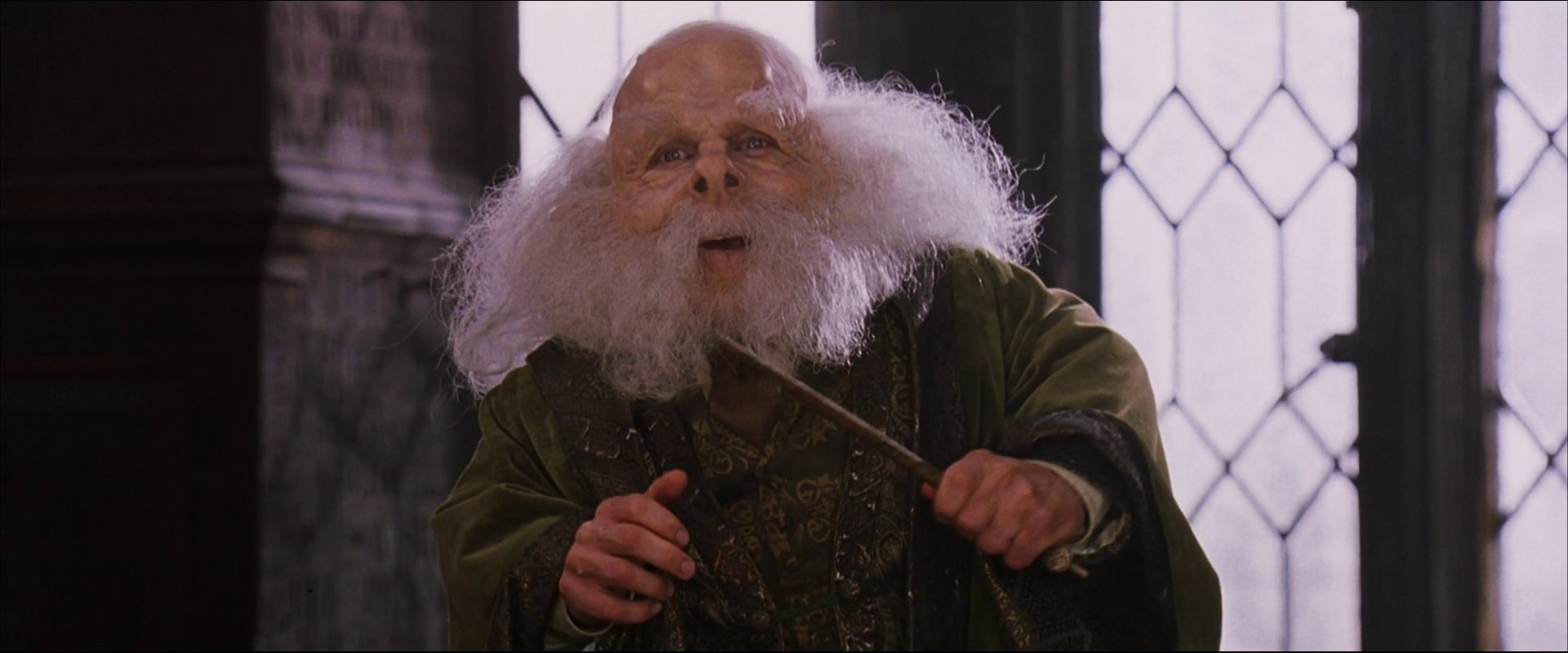 Why did Professor Flitwick change his image so dramatically in the Harry Potter films? - One Movie, Harry Potter, Video, GIF, Longpost