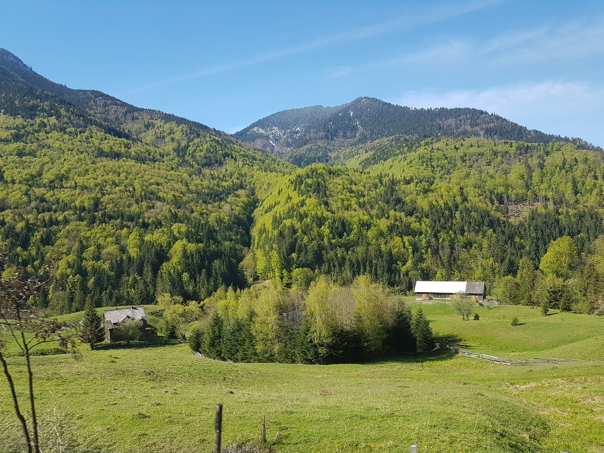 Carpathians - My, Romania, The mountains, Longpost, The photo, Nature