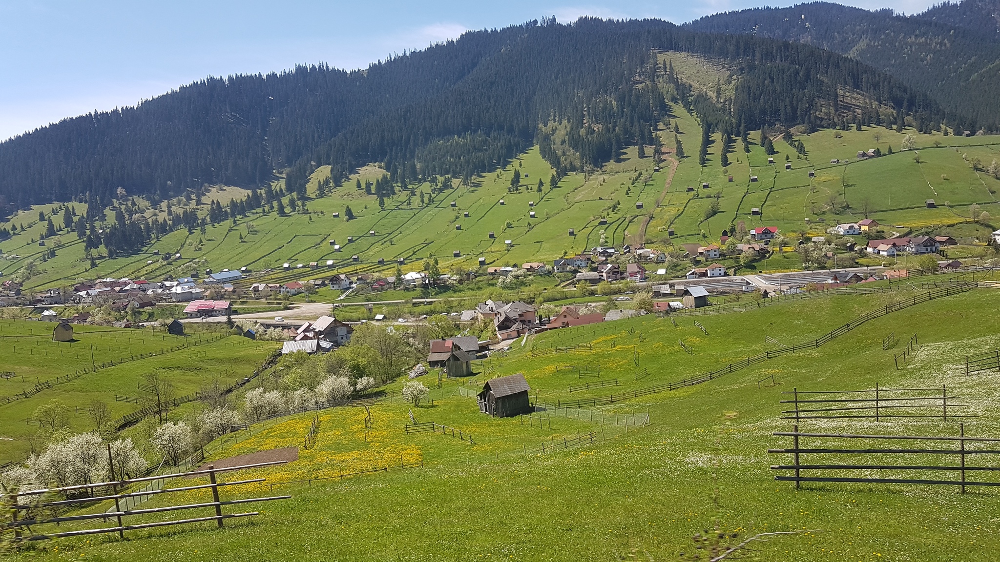 Carpathians - My, Romania, The mountains, Longpost, The photo, Nature