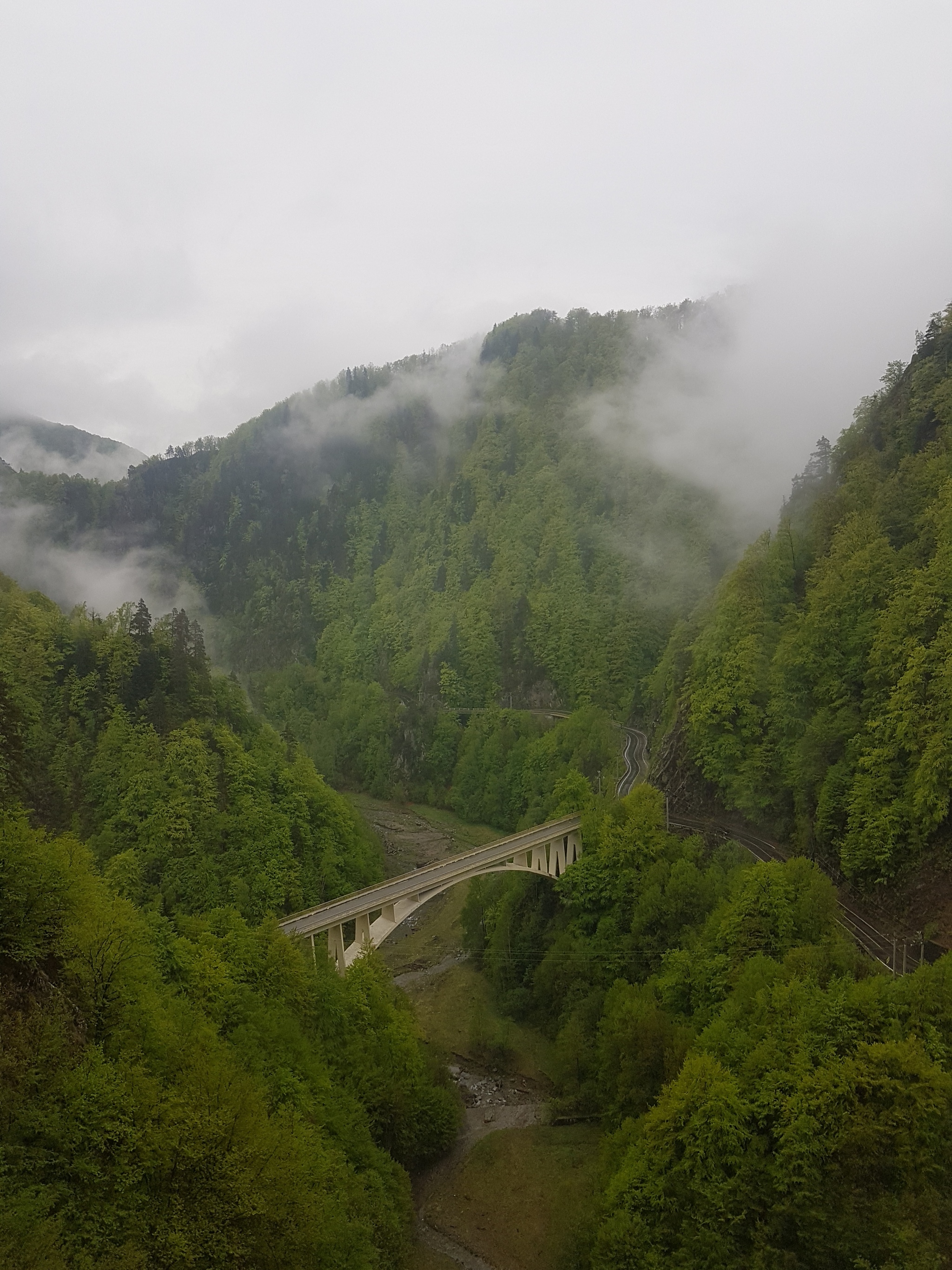 Carpathians - My, Romania, The mountains, Longpost, The photo, Nature