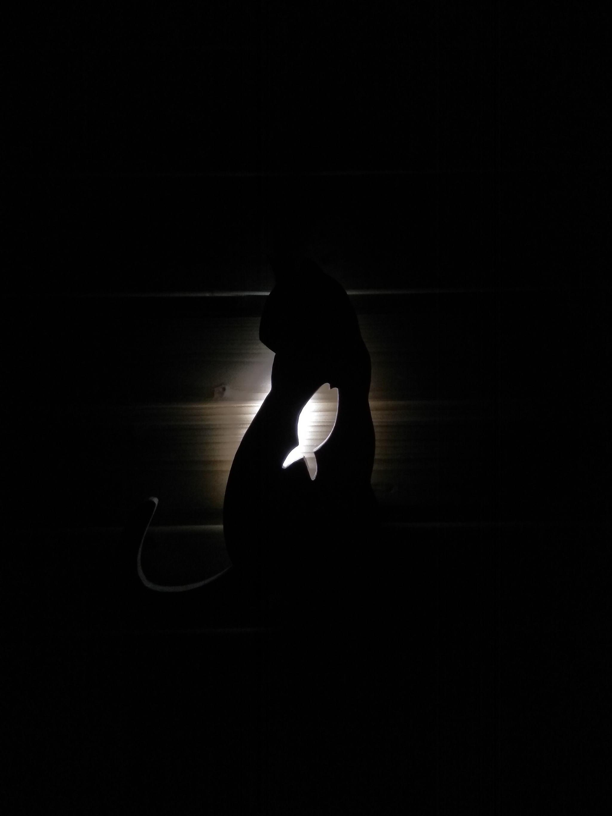 Catolamp - My, Needlework without process, Night light, Cat with lamp, With your own hands, Longpost