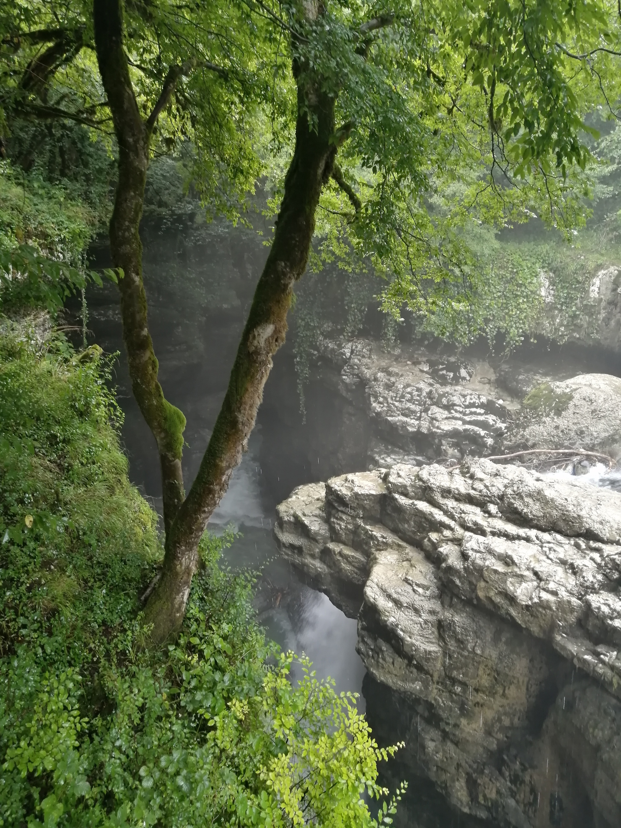 Мартвильский водопад Грузия