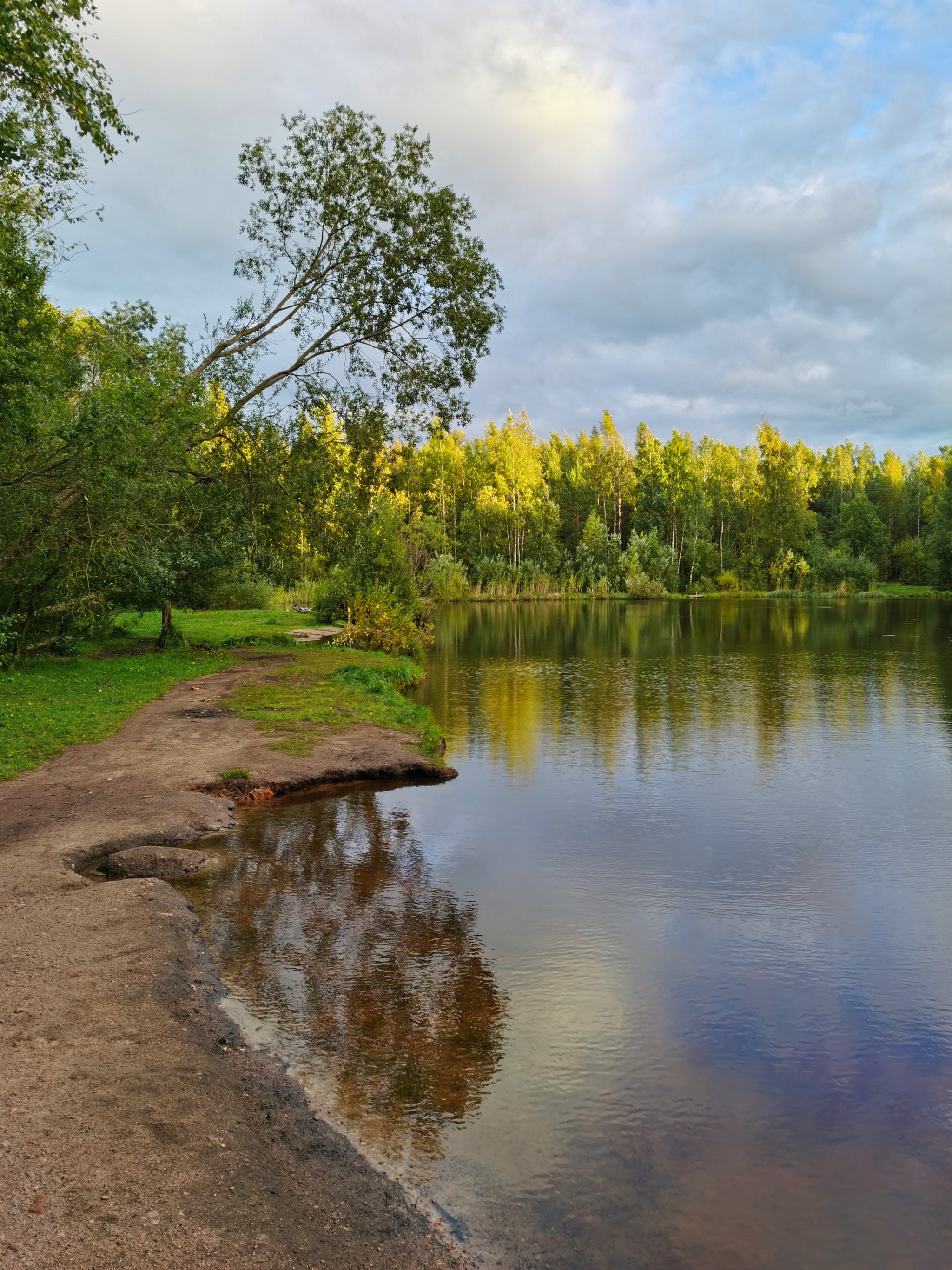 golden sunset - My, Mobile photography, Autumn, Sosnovka Park, Longpost