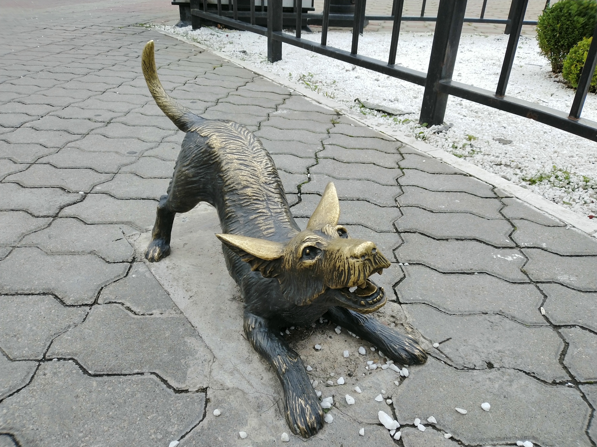 Deadpan cat - Longpost, sights, Blagoveshchensk, My