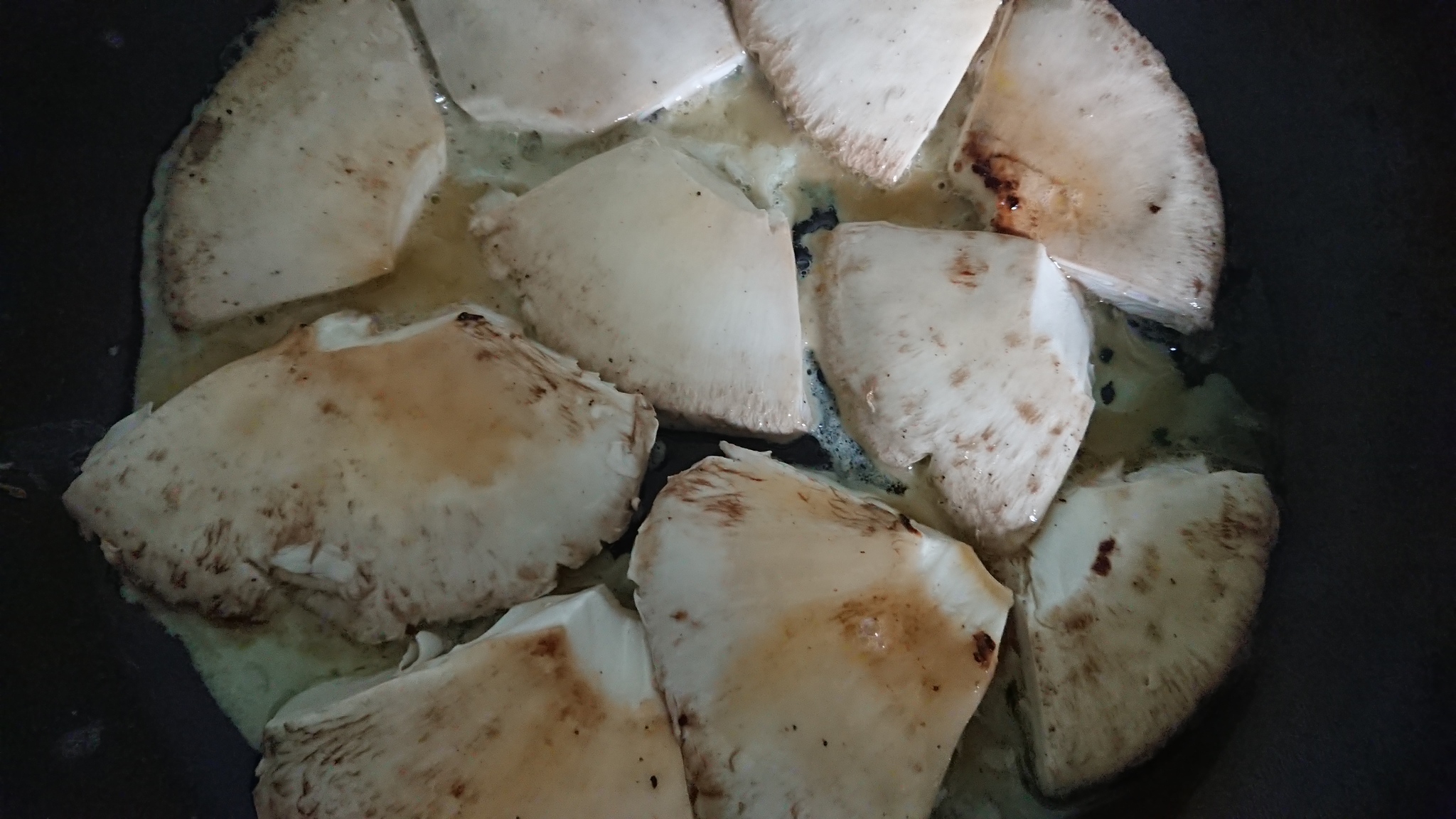 My recipe for Umbrella mushroom - My, Mushrooms, Umbrella Mushroom, Recipe, Video, Longpost