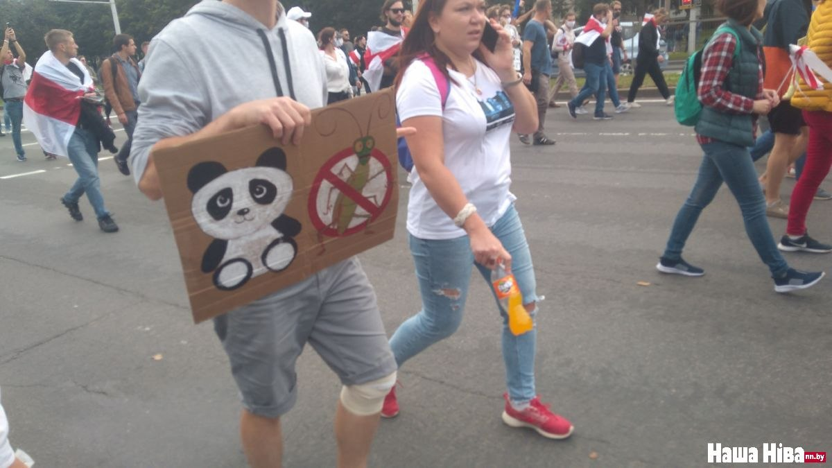 Беларусь воскресная - Республика Беларусь, Протест, Плакат, Политика, Фотография, Длиннопост