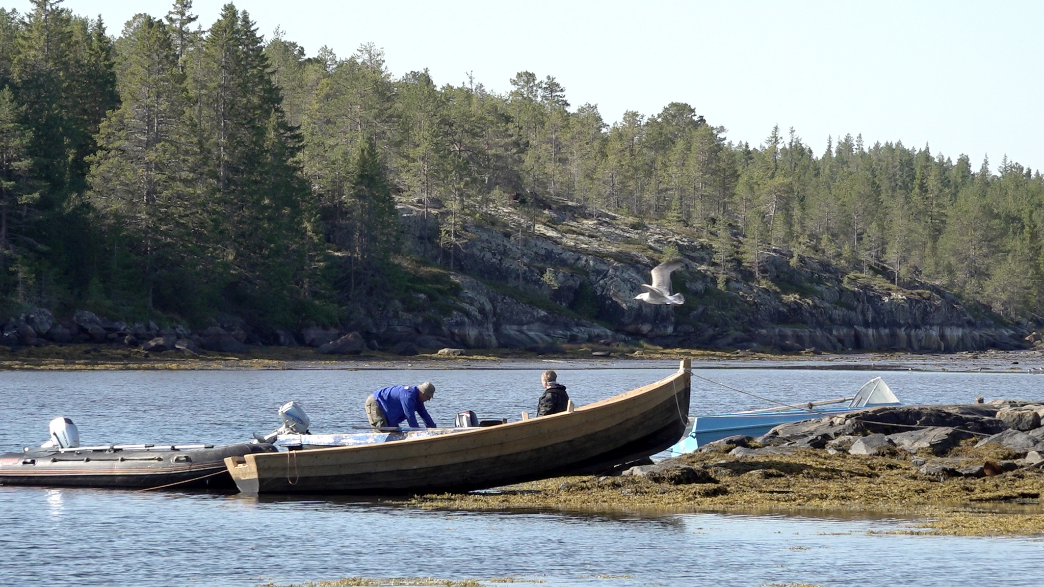 Karelia. Pomors. Gridino - My, Карелия, Pomors, Fishing, Rural life, Video, Longpost