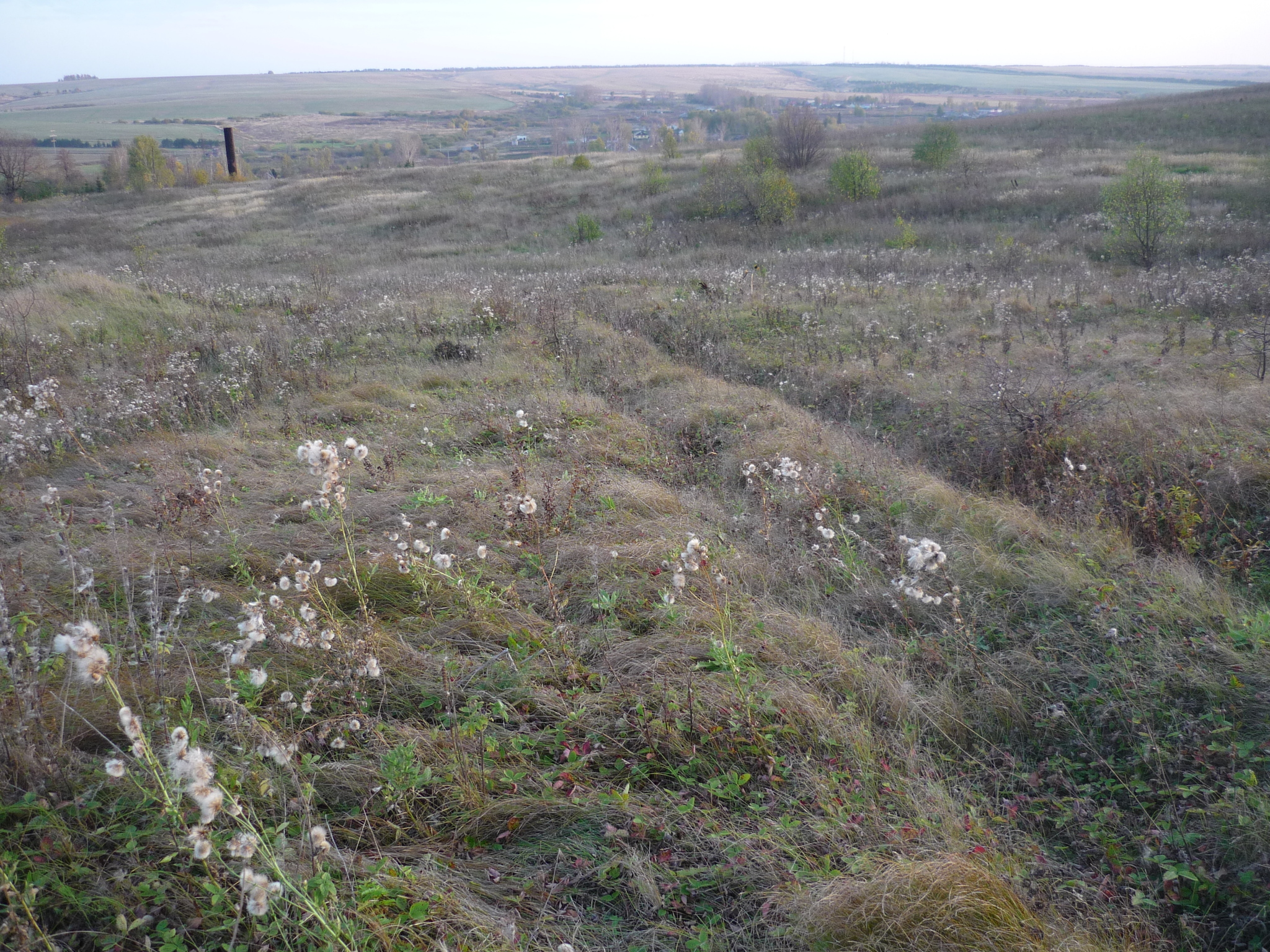 Russian and Tatar villages - My, Village, A life, Tatarstan, Longpost