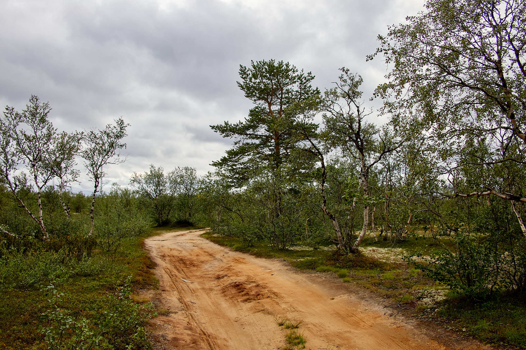 Kola Peninsula - My, Kola Peninsula, Landscape, Travels, Longpost, Murmansk region, Nature