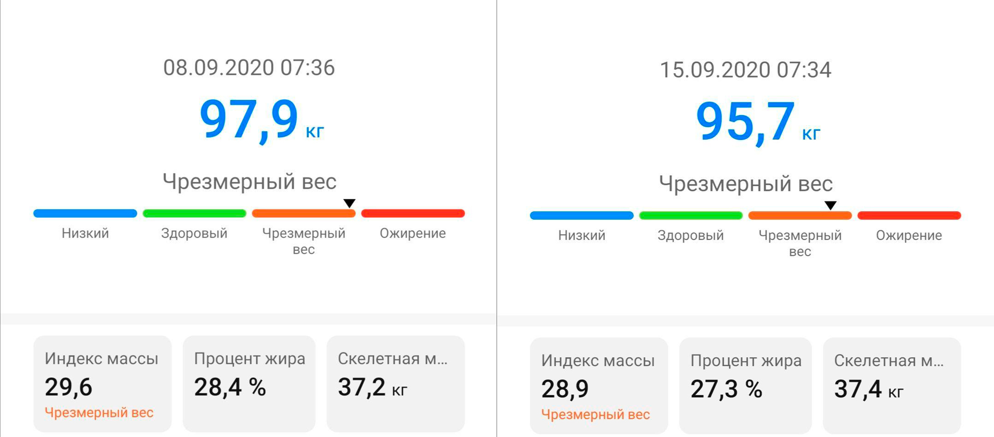 Цель 85 кг, часть №4 от 15.09.2020 | Пикабу