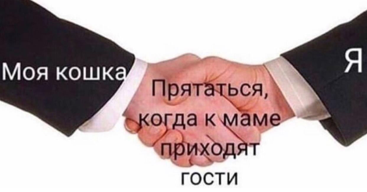 Игра в прятки | Пикабу