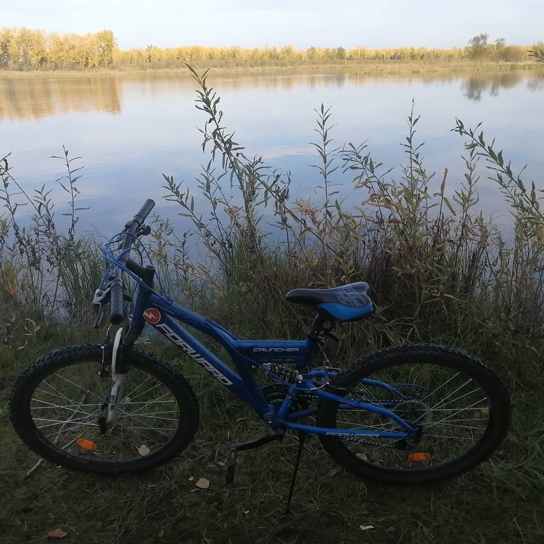 Two shiny wheels are rushing towards the sun into the sky, And the parapet flashes - my bicycle is coming! - My, Walk, Tatyshev Island, Krasnoyarsk, Bike ride, Autumn, Longpost