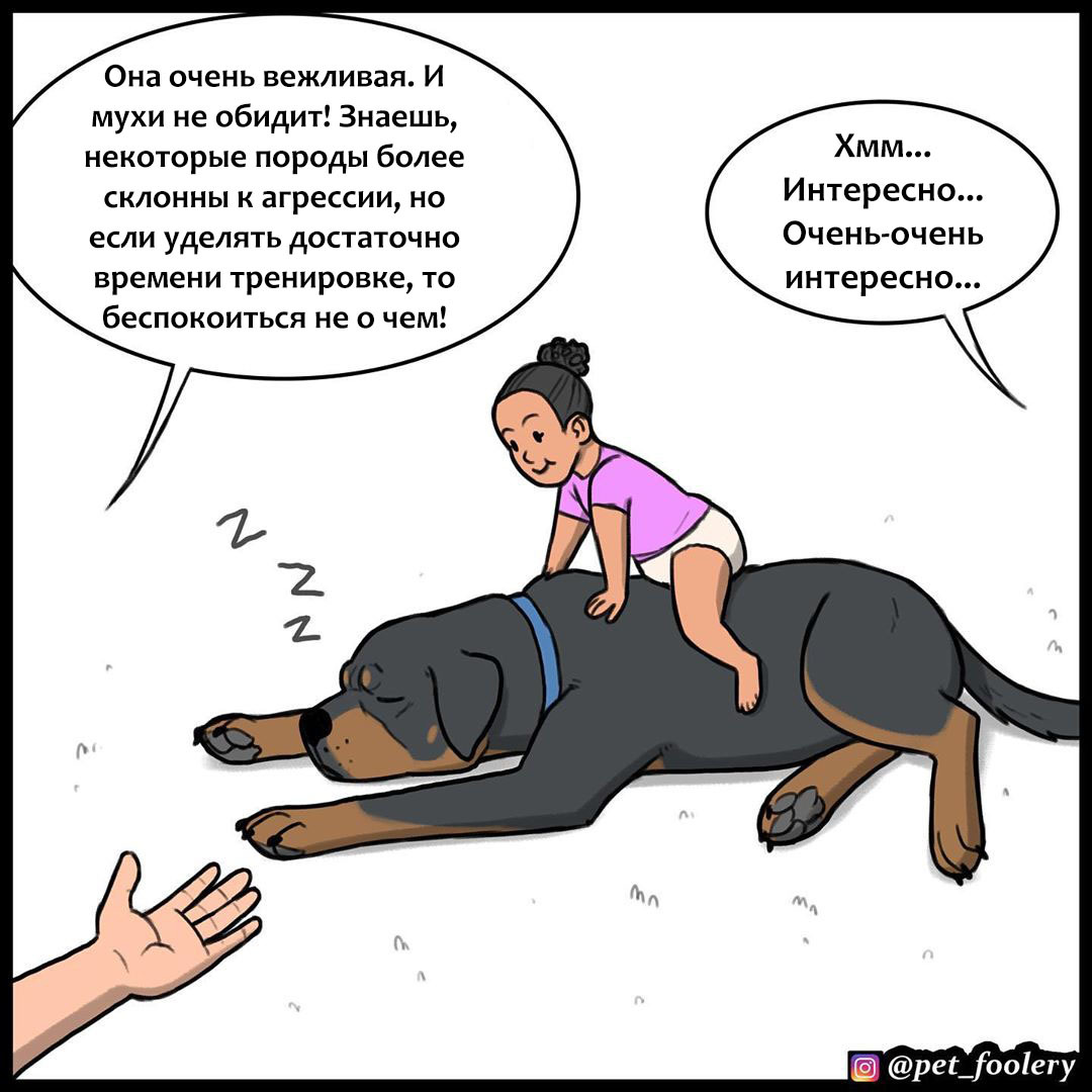 У каждого есть такой друг - Pet Foolery, Комиксы, Юмор, Домашние животные, Длиннопост, Собака, Породы собак, Питбуль, Ротвейлер, Доберман, Стереотипы