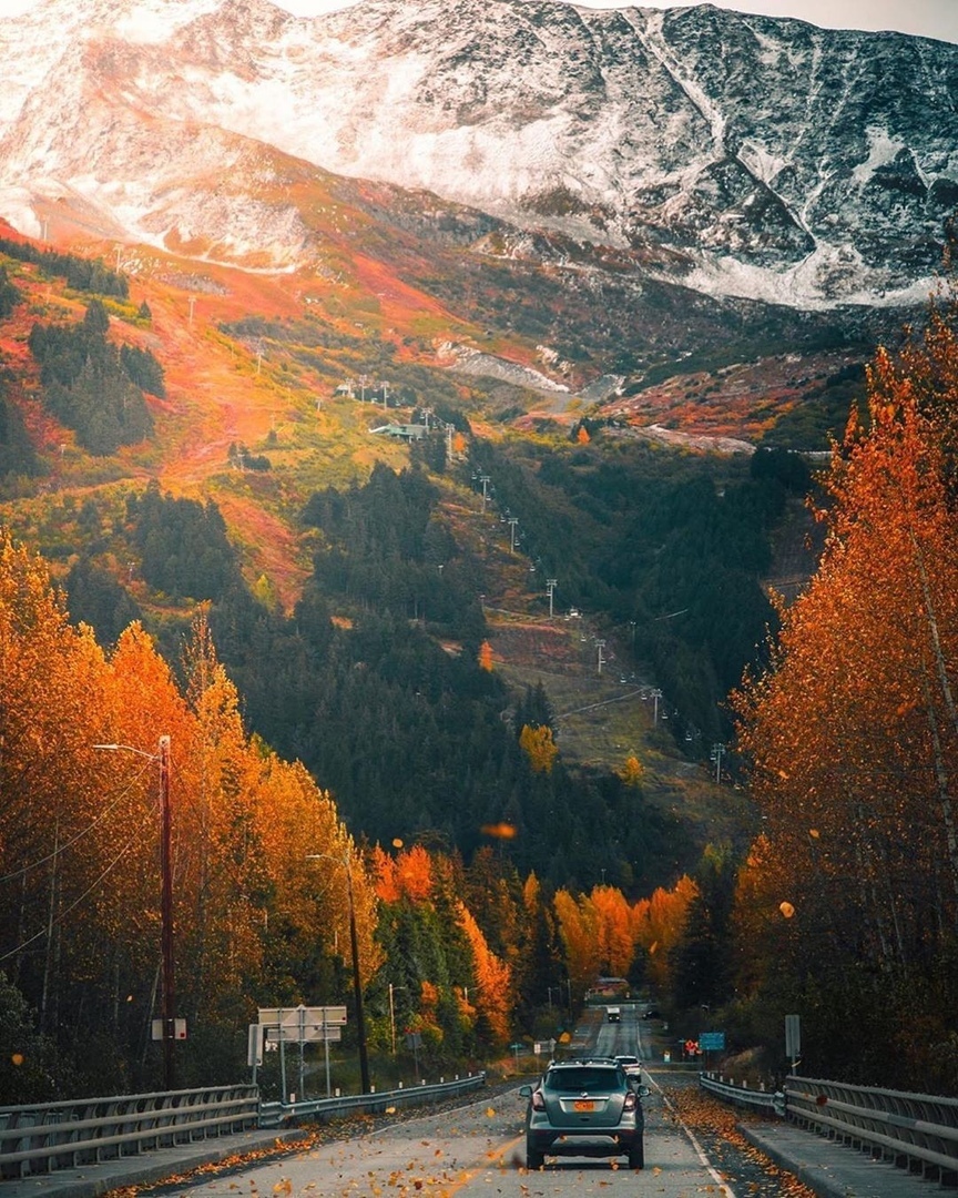 Autumn in Alaska - Autumn, Nature, Alaska, The photo, USA, Forest, River, Road, The mountains, Longpost