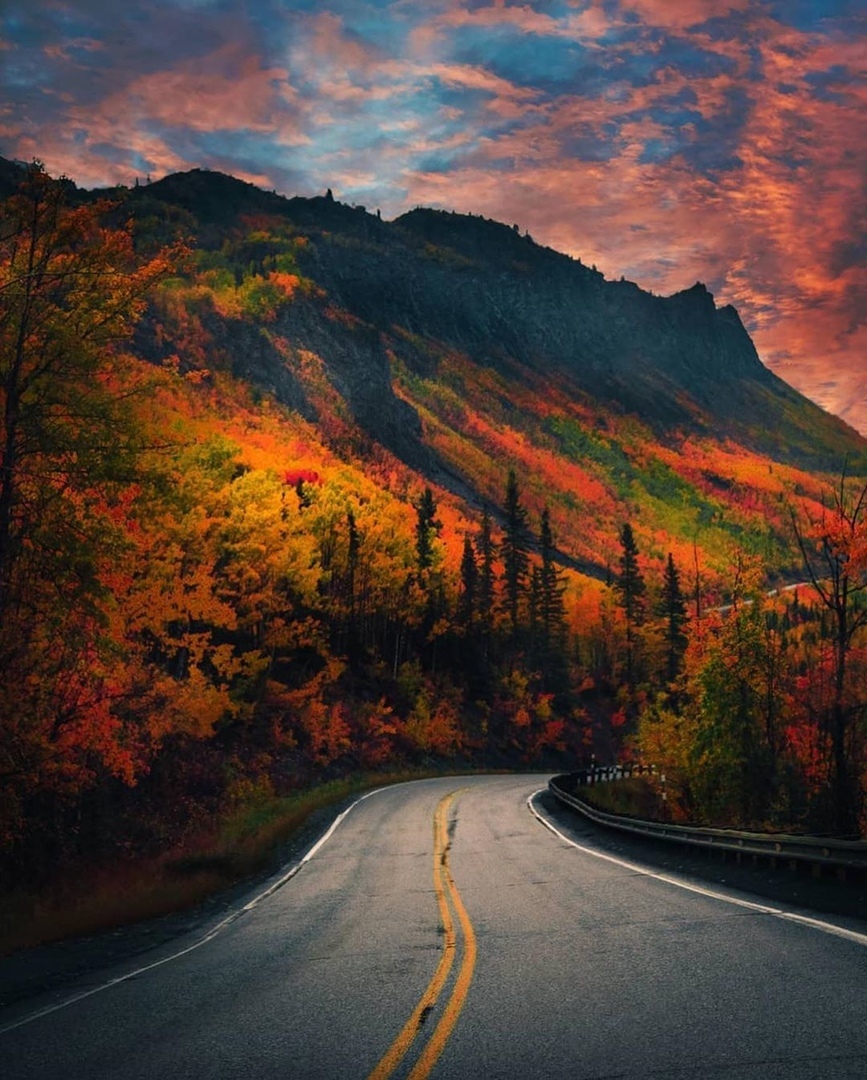 Autumn in Alaska - Autumn, Nature, Alaska, The photo, USA, Forest, River, Road, The mountains, Longpost