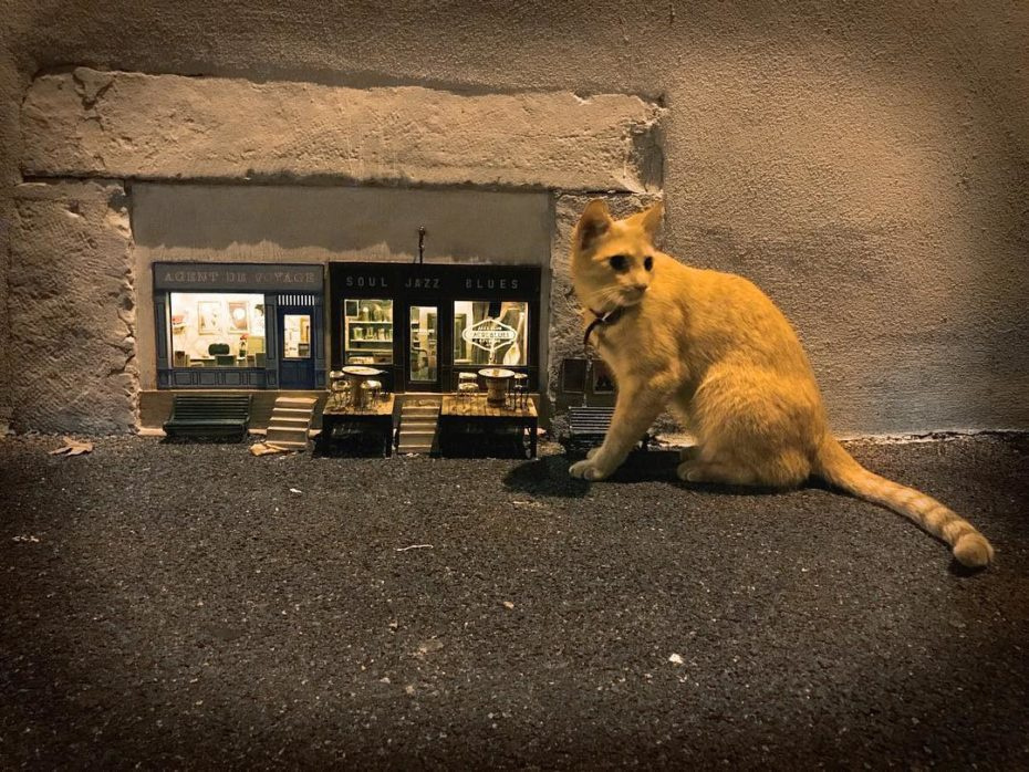 Stop the hustle and bustle and see Sweden's mouse town - Sweden, Mouse, Interesting, Installation, Longpost, Miniature