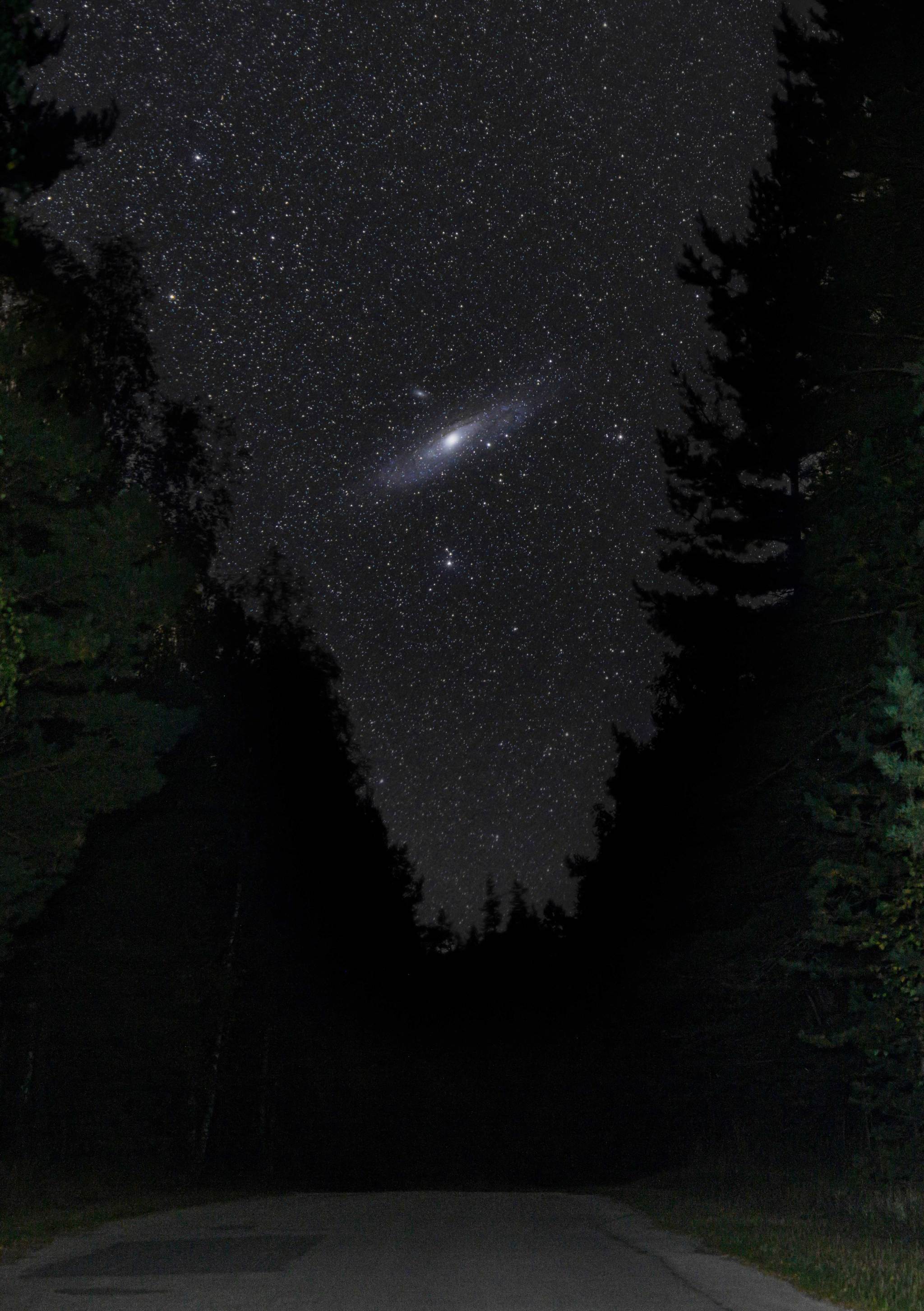 Forest road to a neighboring galaxy - My, Astrophoto, Galaxy, Andromeda Nebula, Space, Stars, Universe, Forest