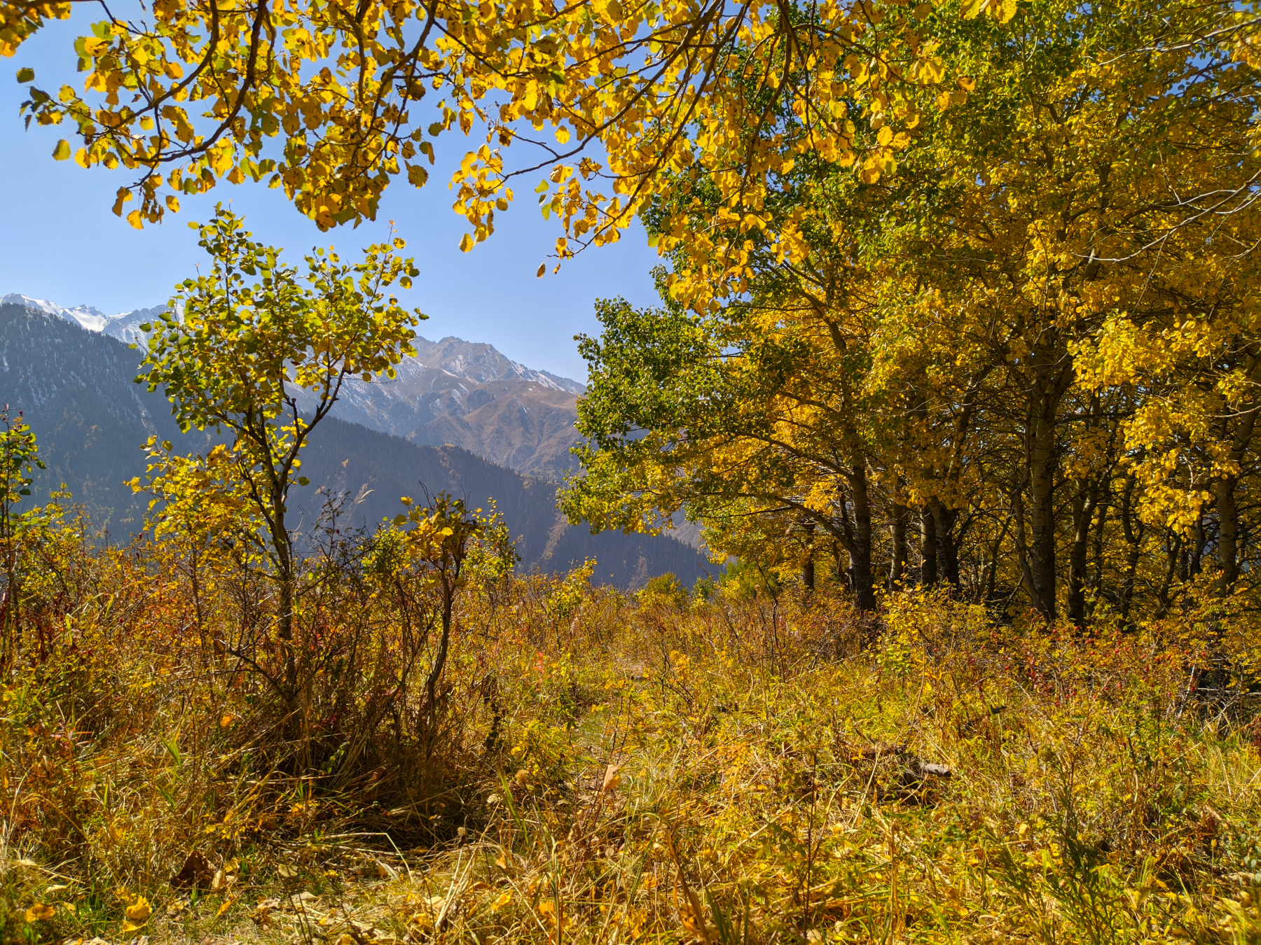 Осень в казахстане