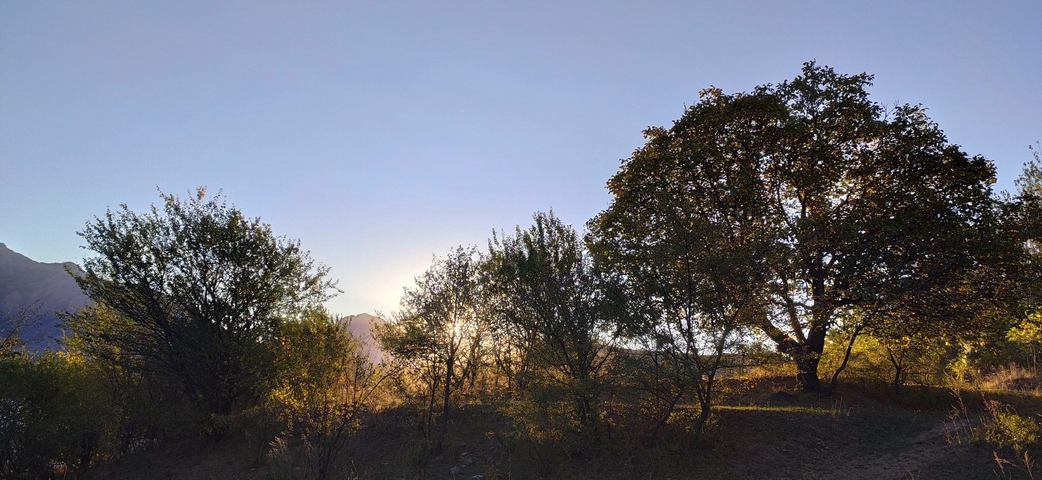 Cycling in the Chimgan Mountains - My, Uzbekistan, Chimgan, Bike ride, Longpost, Travels