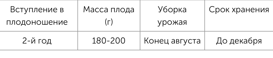 Яблоки с красной мякотью – что это за сорта и чем они лучше обычных - Яблоки, Урожай, Сад, Мякоть, Фотография, Текст, Картинка с текстом, Сельское хозяйство, Длиннопост