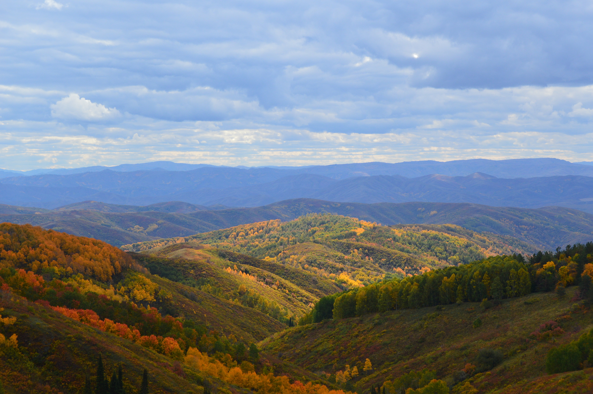 Autumn colors - My, The photo, Kazakhstan, Nikon, Autumn, The mountains, Ust-Kamenogorsk, Road