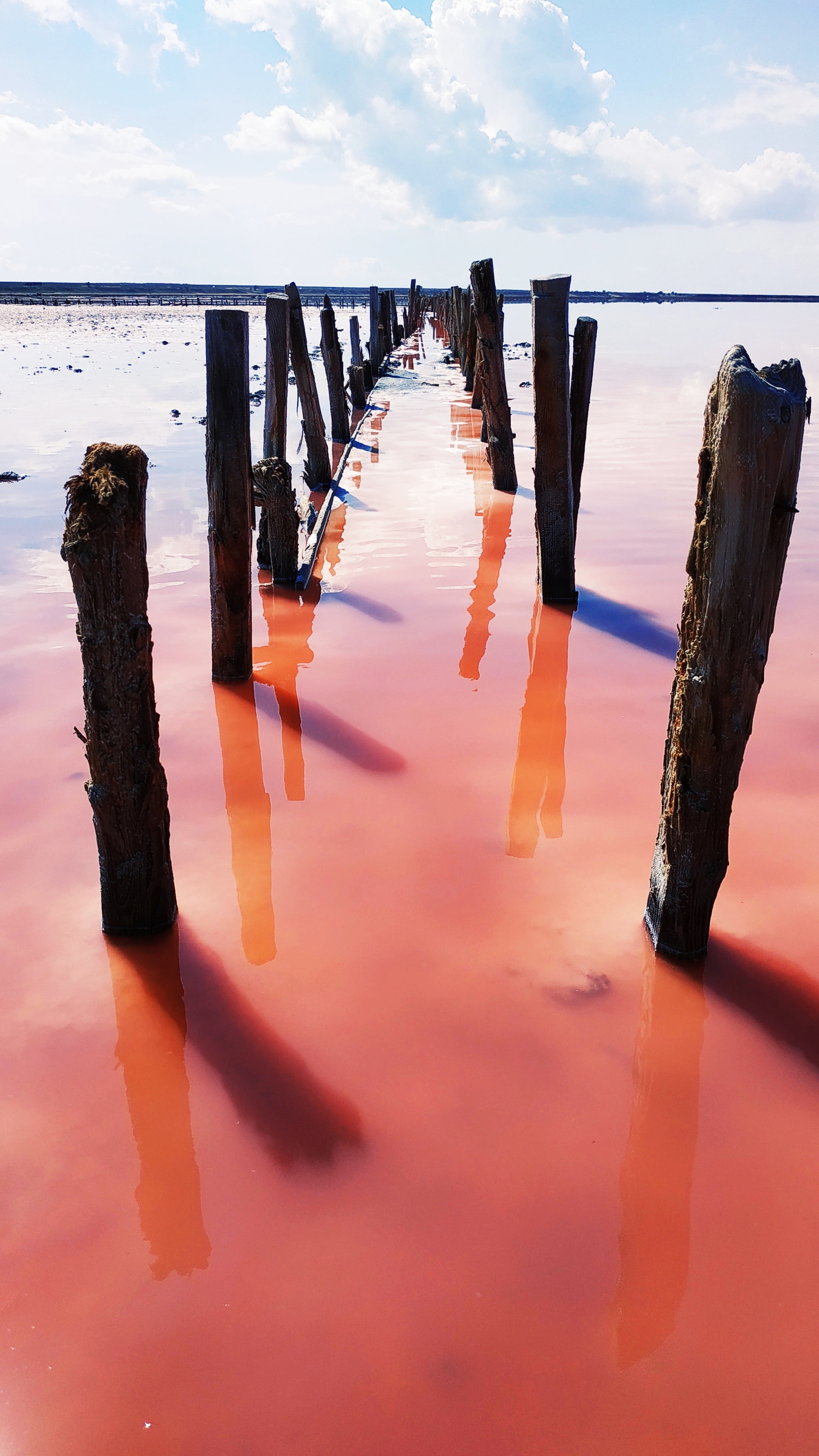 Pink lake. Walk - My, Salt Lake, Photo on sneaker, Arabat Arrow, Longpost