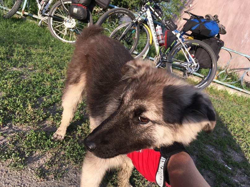 Around Issyk-Kul by bike - My, Bike trip, Tourism, Bike ride, Issyk-Kul, Travels, Kyrgyzstan, Ecotourism, A bike, Longpost