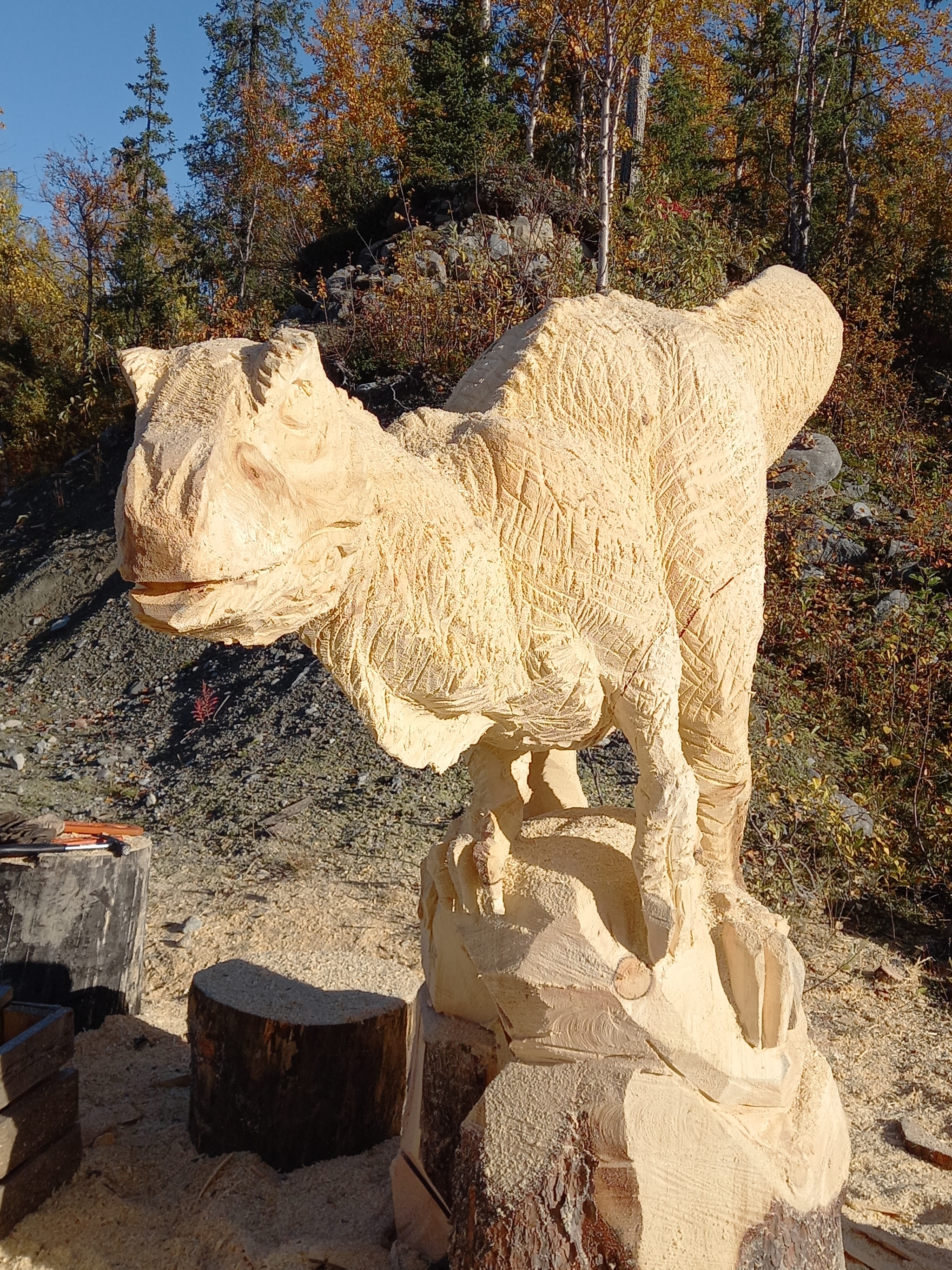 The era of dinosaurs in the Arctic. Chainsaw carving - My, Wood carving, Thread, Wood sculpture, Tree, Carving, Woodworking, The photo, Dinosaurs, Longpost, Video