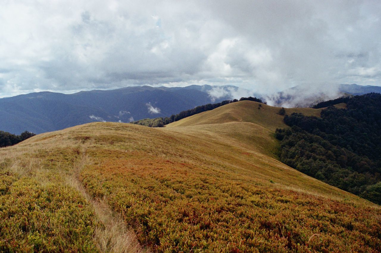 Carpathians (film without processing) - My, Olympus, 35mm, Film, Carpathians, Nature, Landscape, The mountains, Longpost