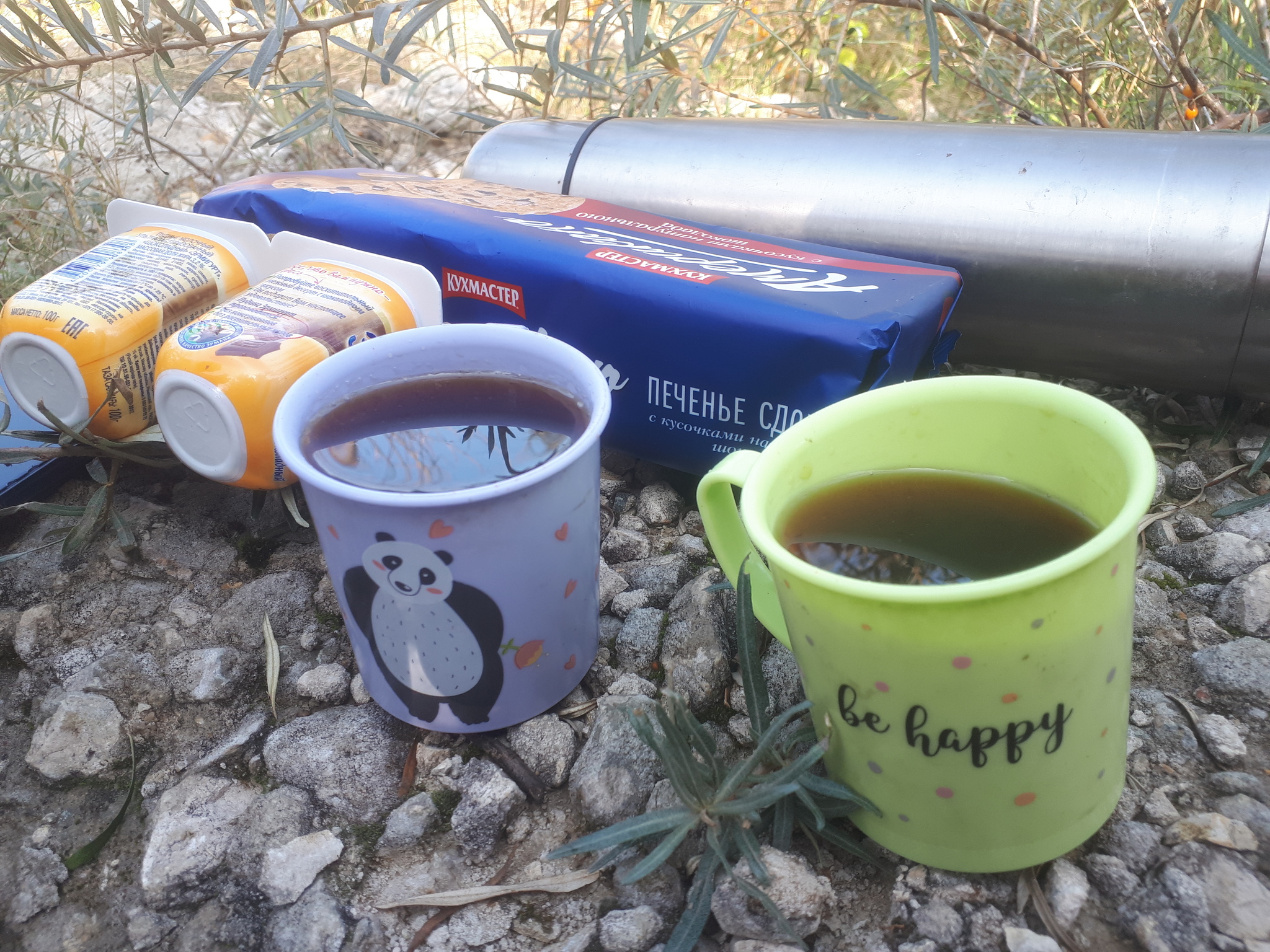 We went for sea buckthorn - Walk, Sea buckthorn, Joy, Longpost