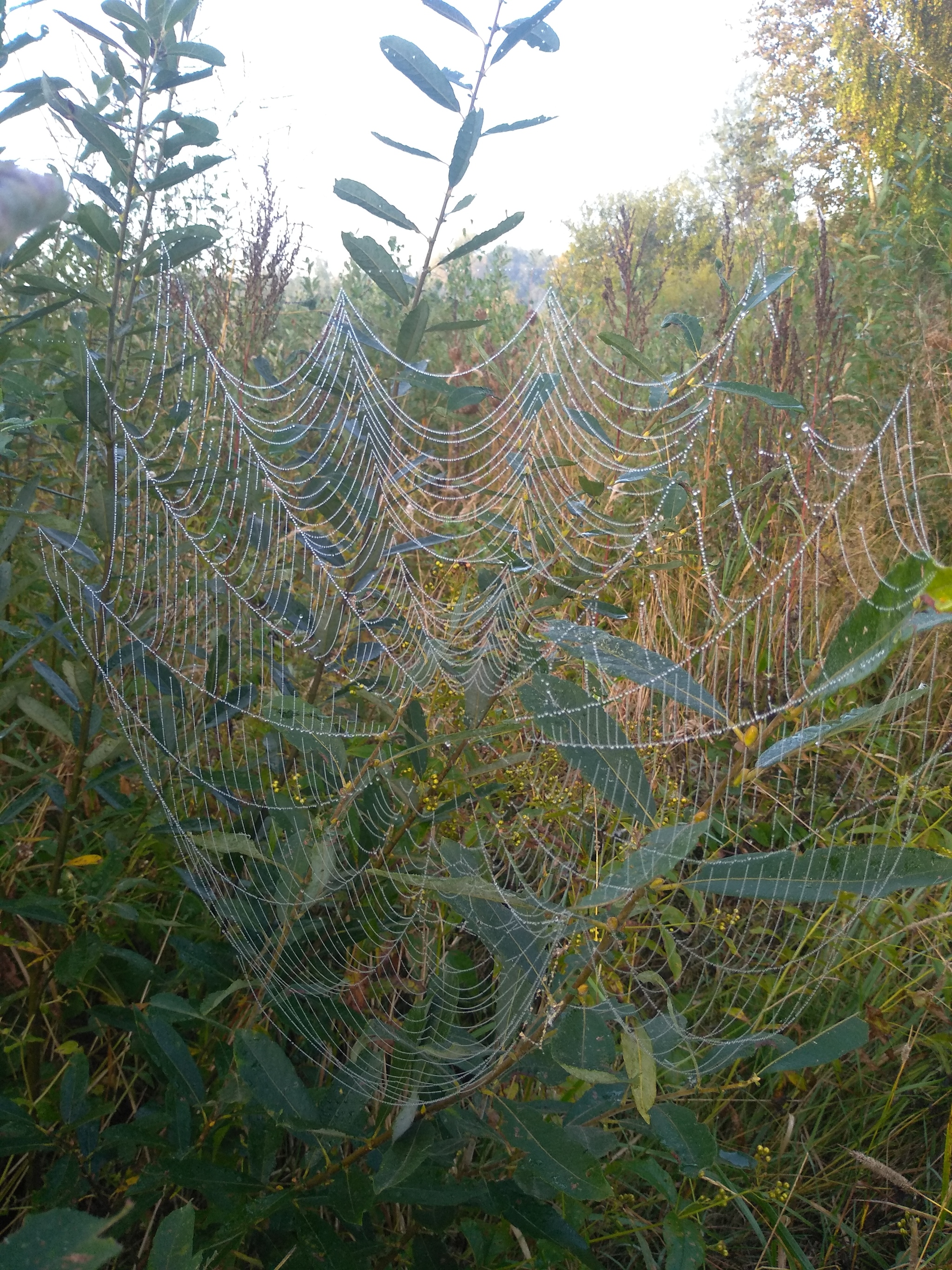 September - My, Brest, Longpost, Autumn, beauty of nature, Nature