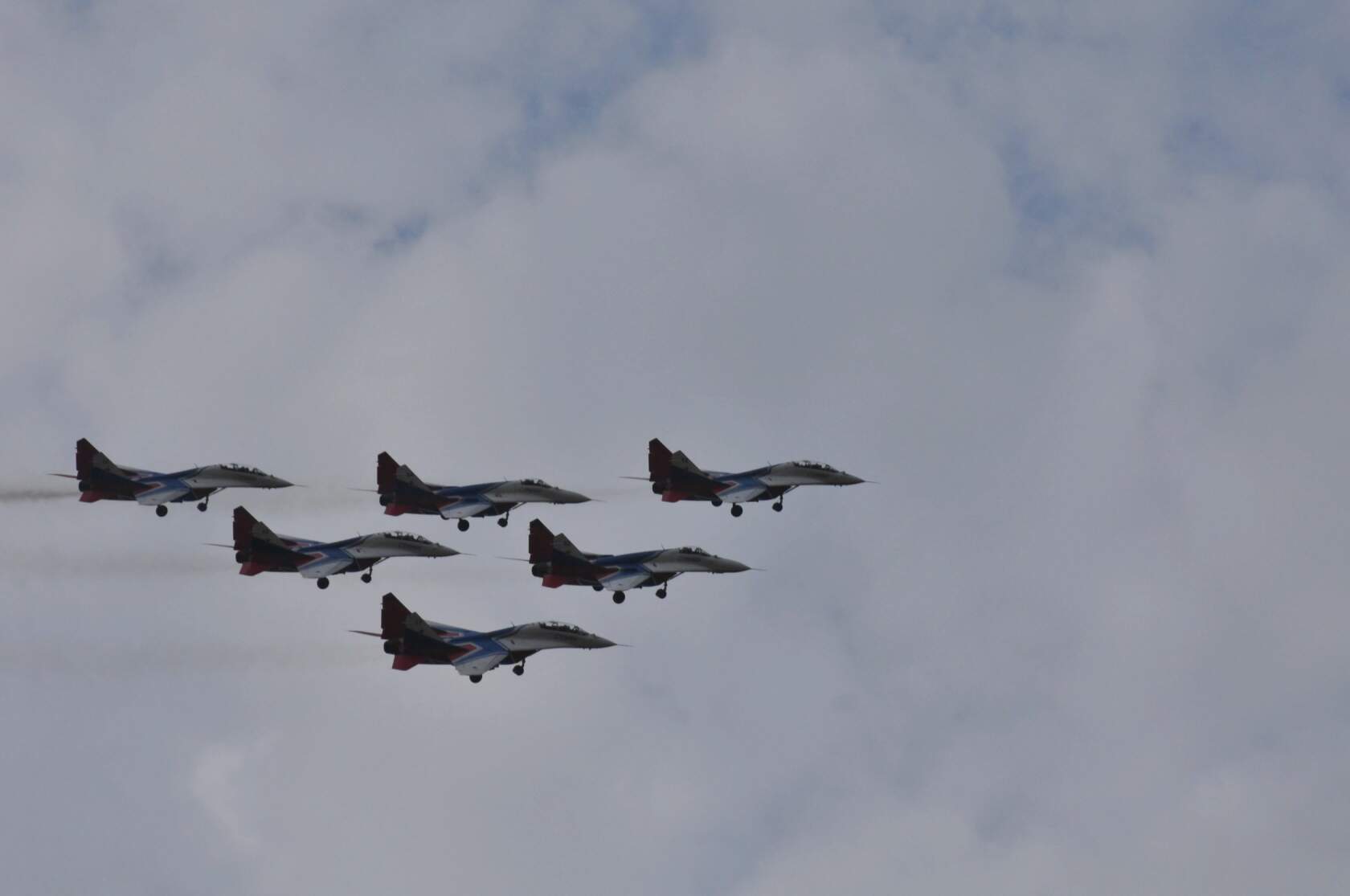 Стрижи | Пикабу