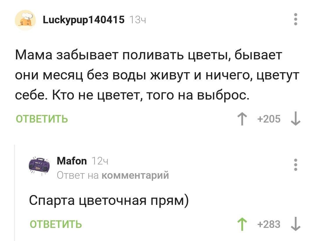 Это СПАРТА - Скриншот, Комментарии на Пикабу, Спарта, Цветы