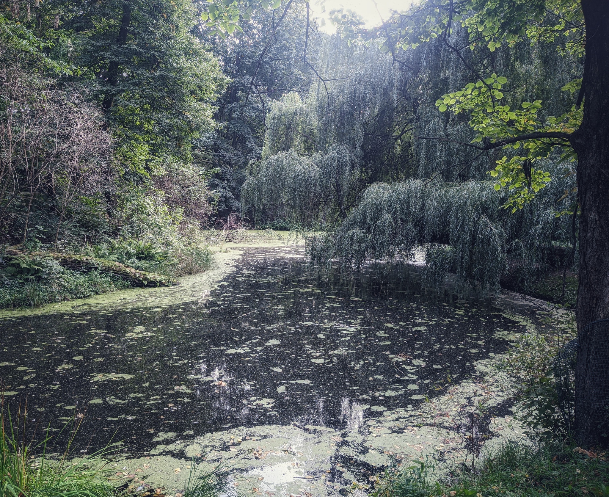 Варшава Скарышевский парк имени Игнация Яна Падеревского - Моё, Мобильная фотография, Варшава, Парк, Длиннопост