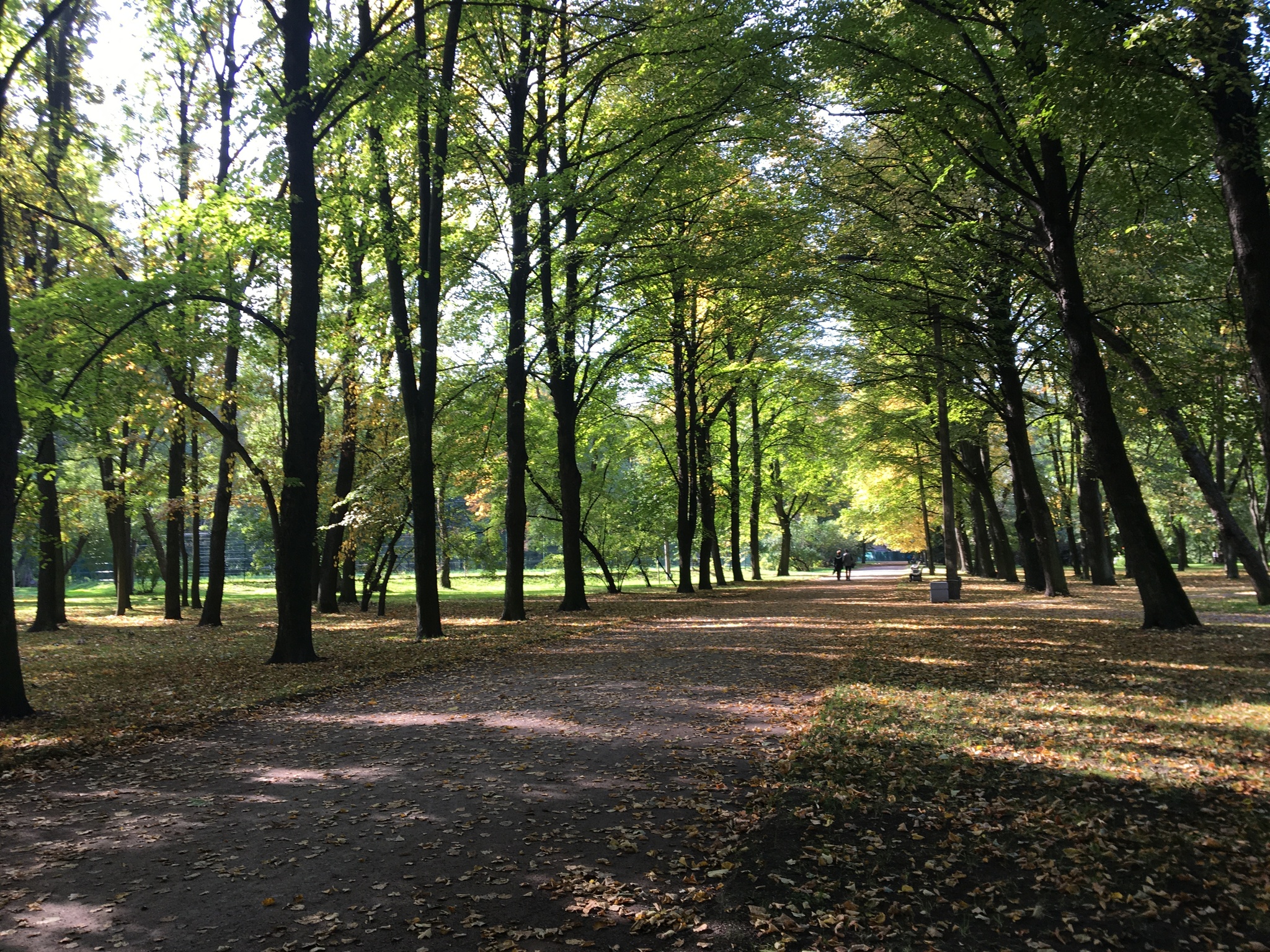 Autumn in St. Petersburg - My, Autumn, Saint Petersburg, Indian summer