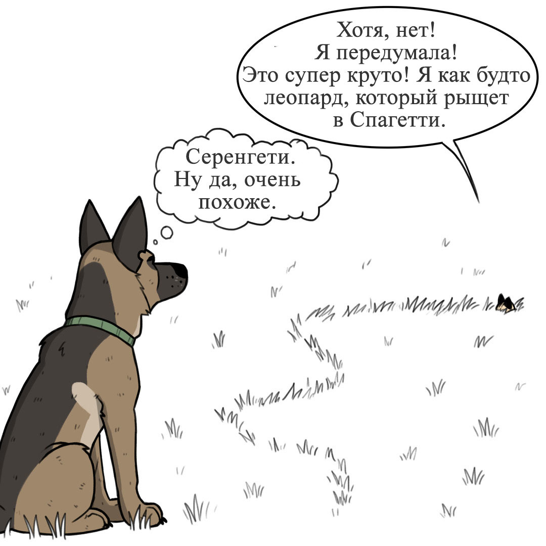 Serengeti - Pet foolery, Brutus and Pixie, Comics, Longpost, cat, Dog, Grass